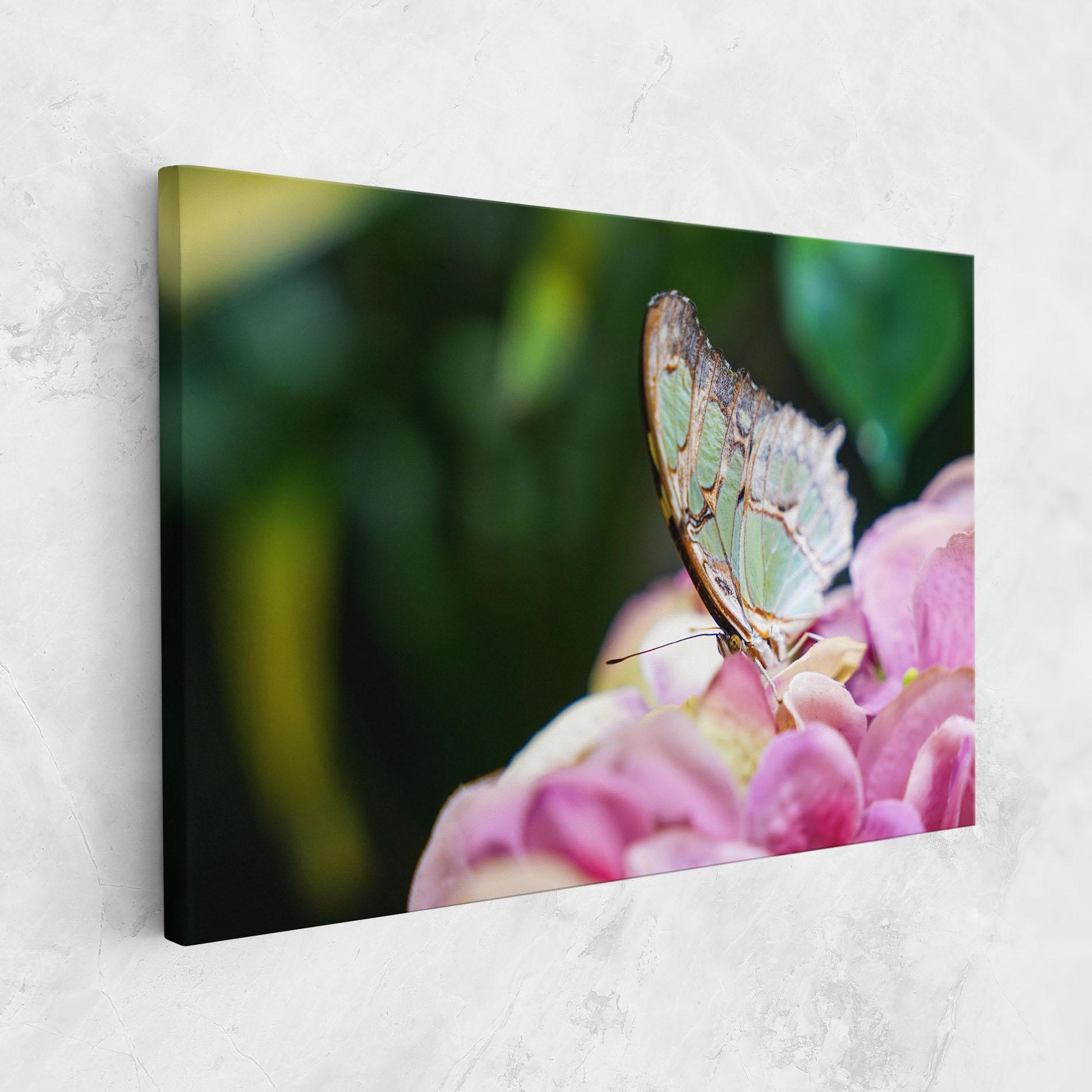 Vászonkép Nazrin Babashova DiUUmQMFWys Unsplash mockup 1