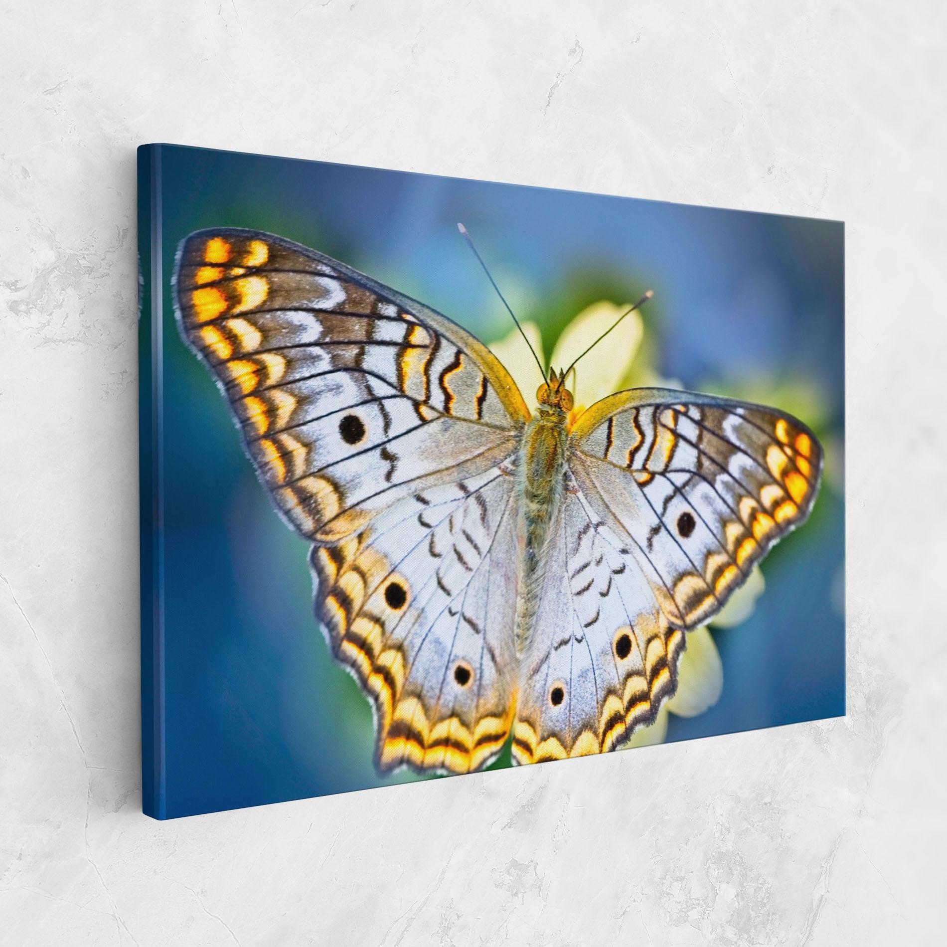 Vászonkép Yellow Grey Butterfly mockup 1