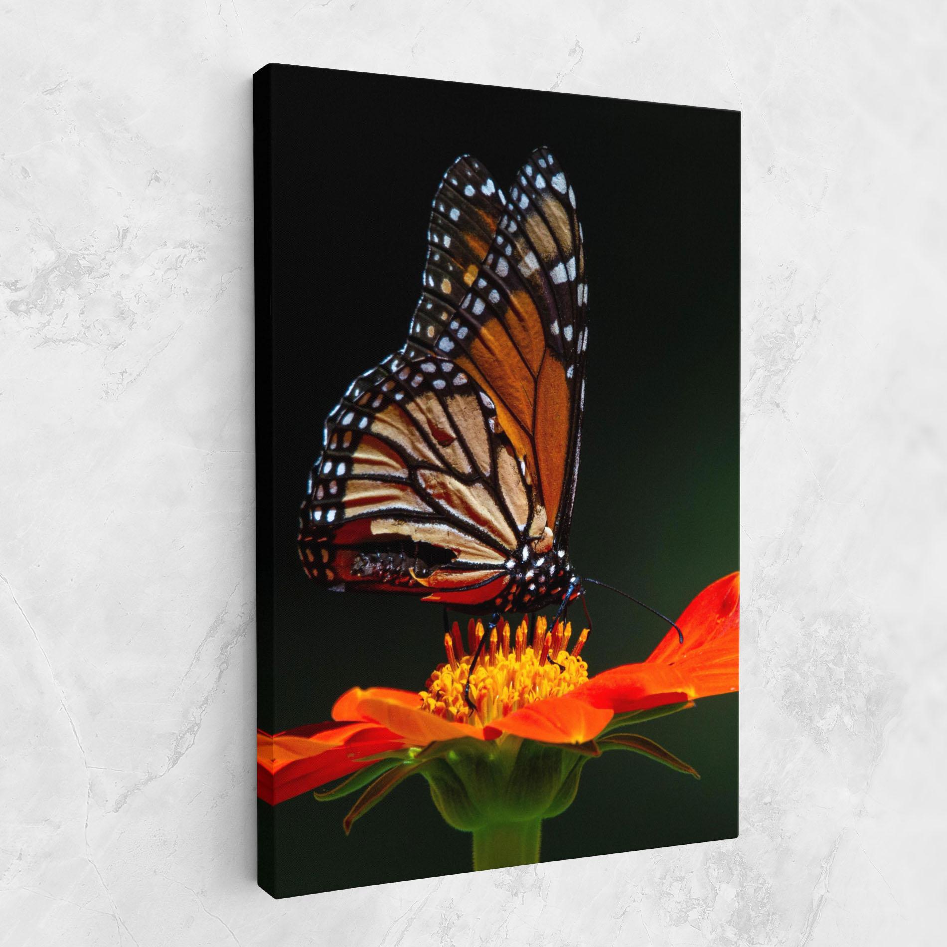 Vászonkép Dark Orange Butterfy mockup 1