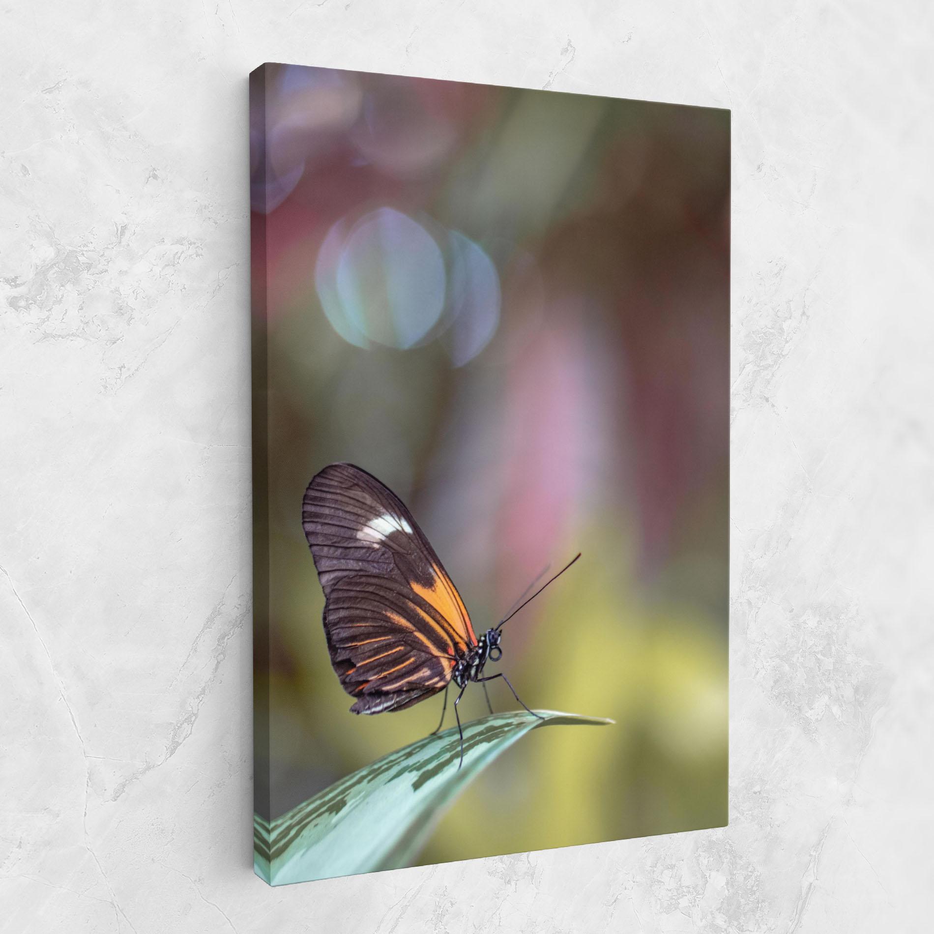 Vászonkép Dark Purple Butterfly mockup 1