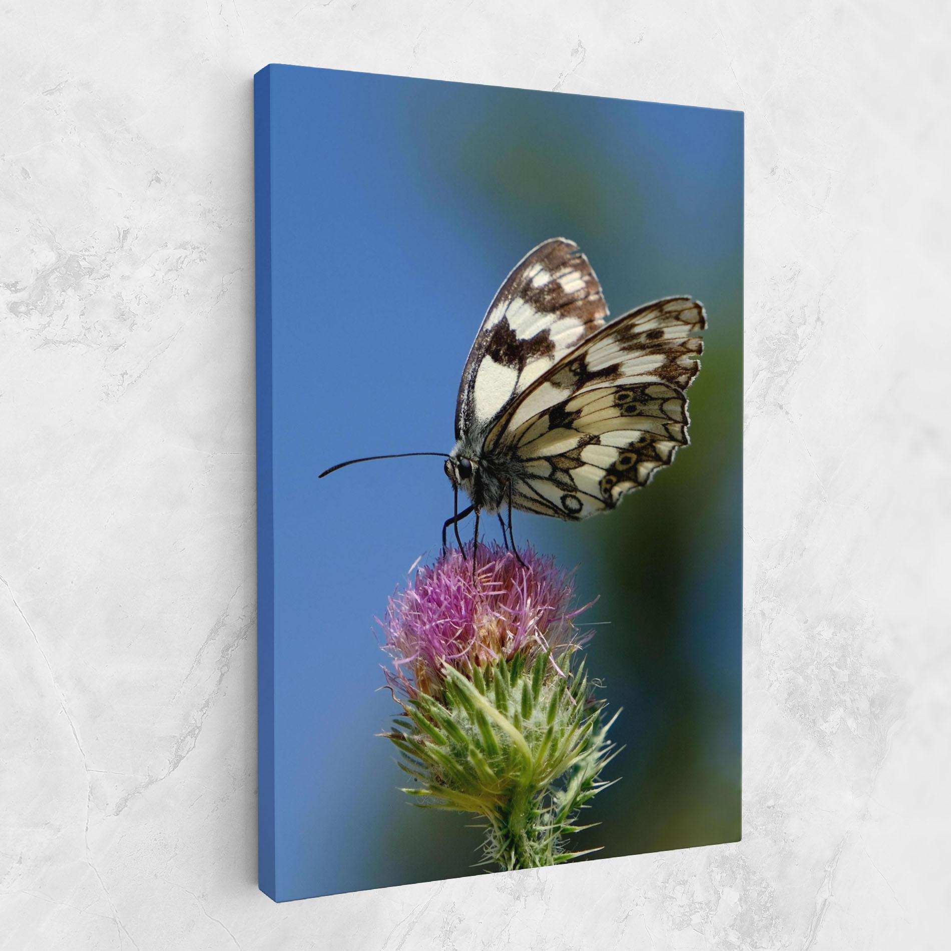 Vászonkép Grey White Butterfly mockup 1