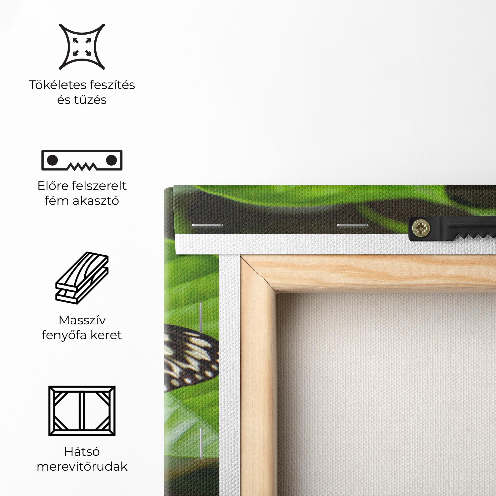 Vászonkép Beautiful White Butterfly mockup 5