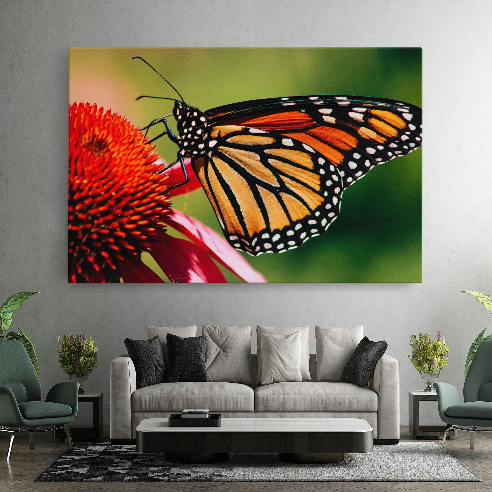 Vászonkép Big Orange Butterfly mockup 7