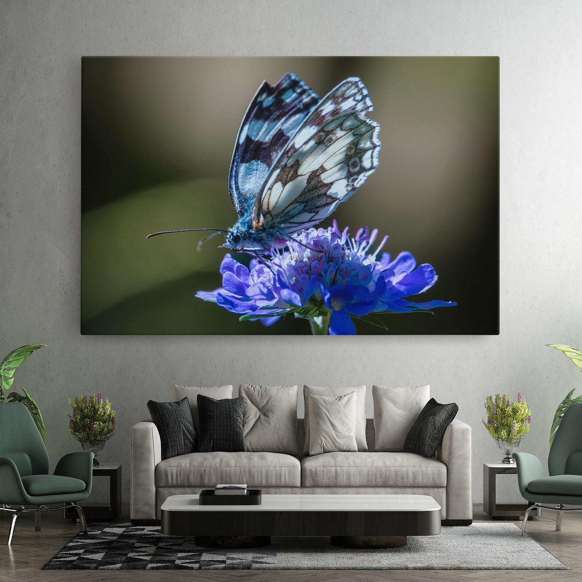 Vászonkép Blue Butterfly In Nature mockup 7