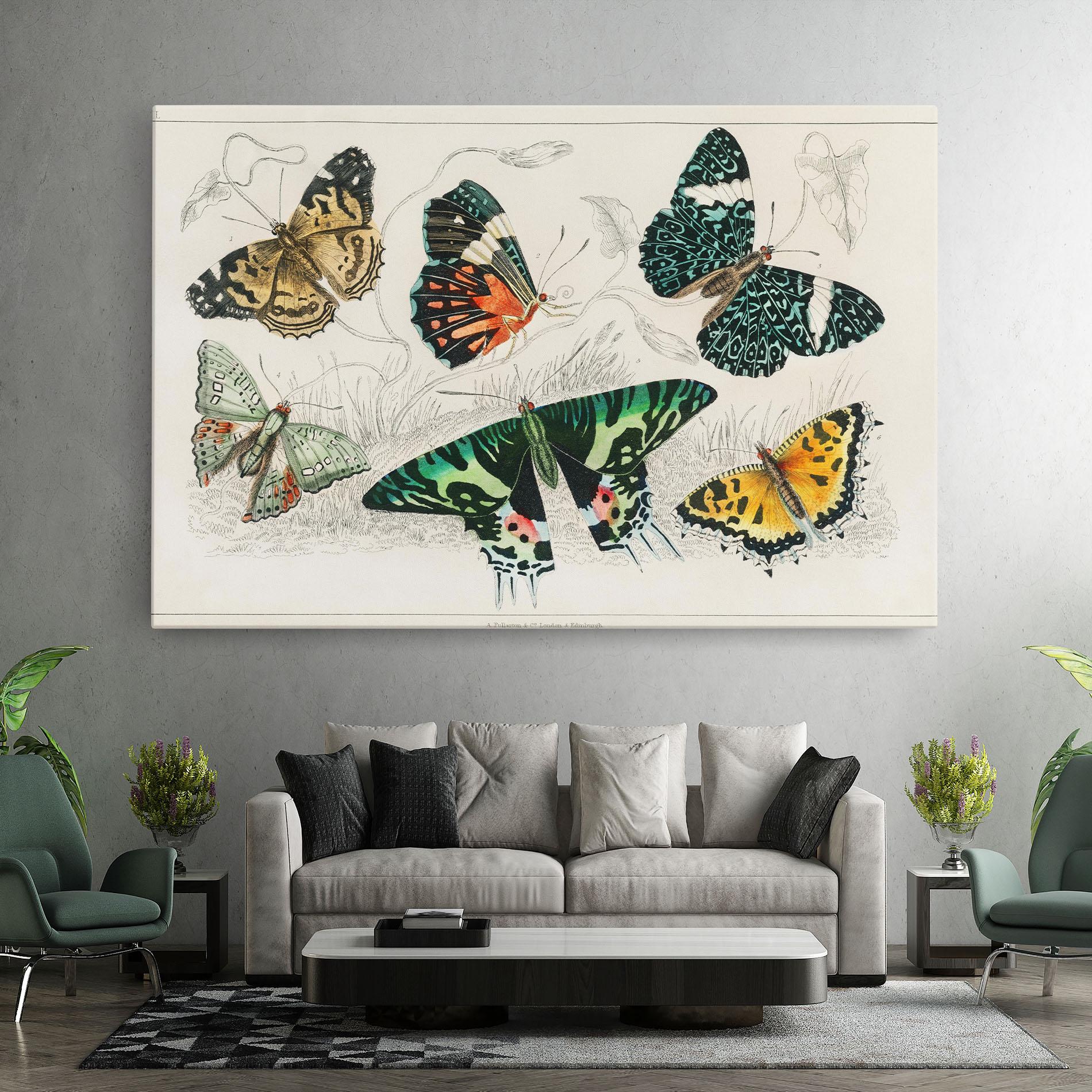 Vászonkép Butterfly Art mockup 7