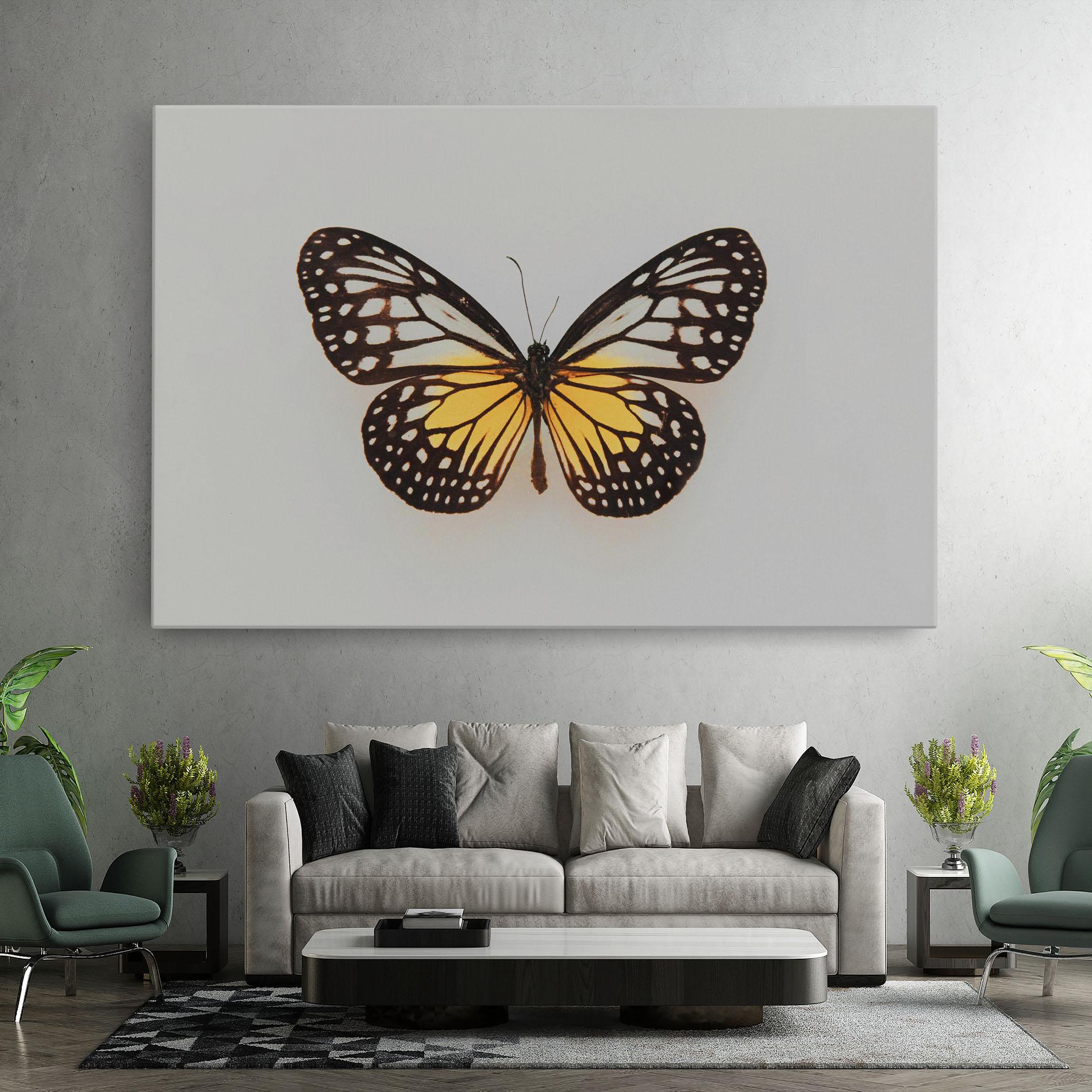 Vászonkép Butterfly On Grey mockup 7