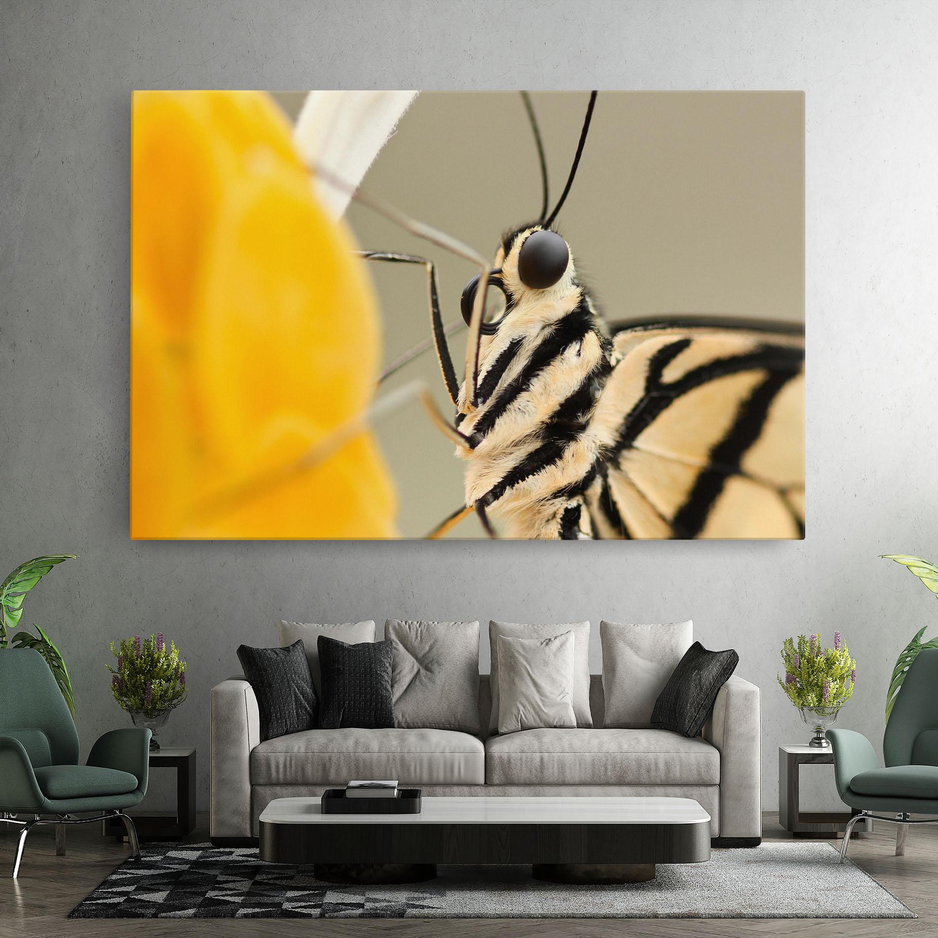 Vászonkép Close Up Cream Butterfly mockup 7