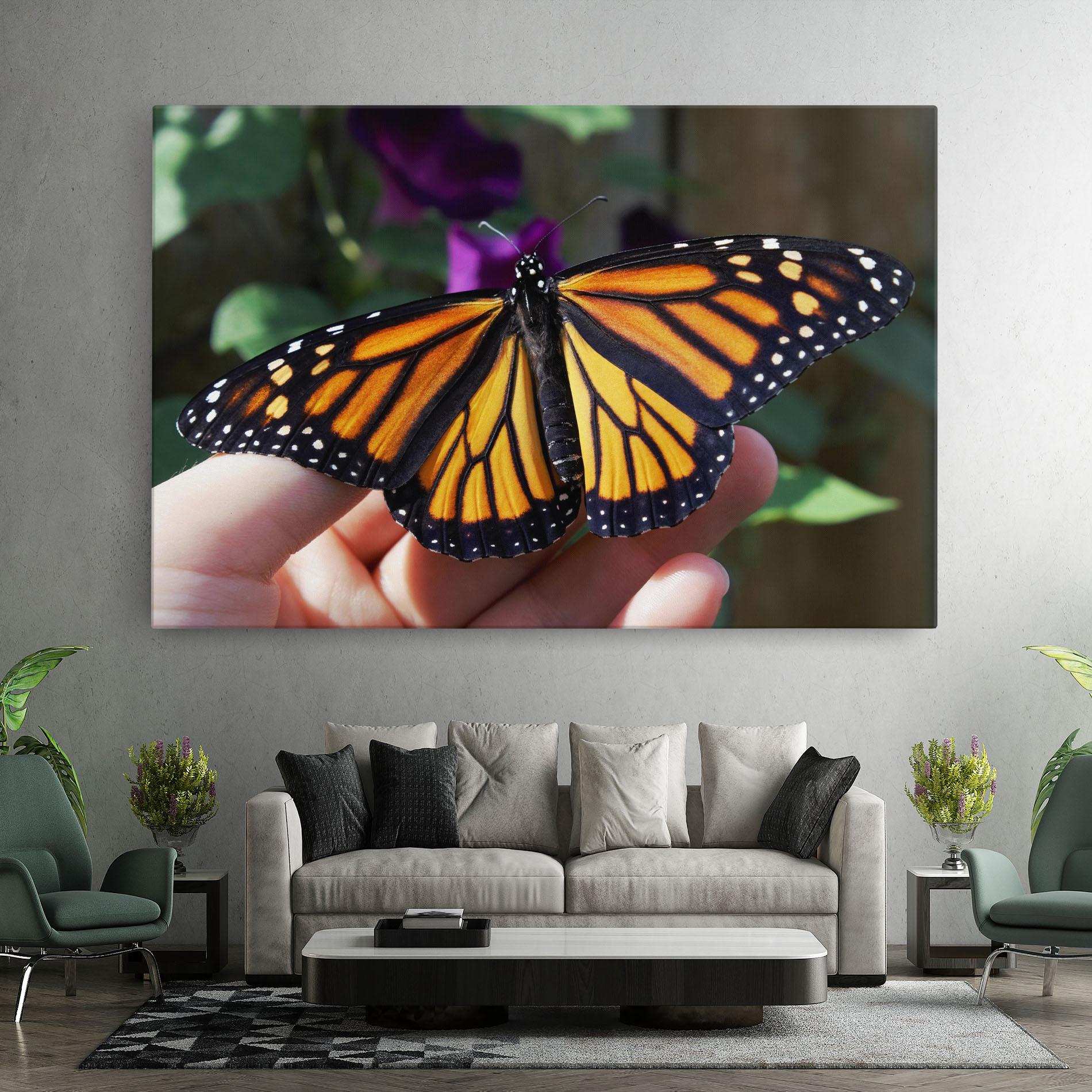 Vászonkép Open Orange Butterfly mockup 7