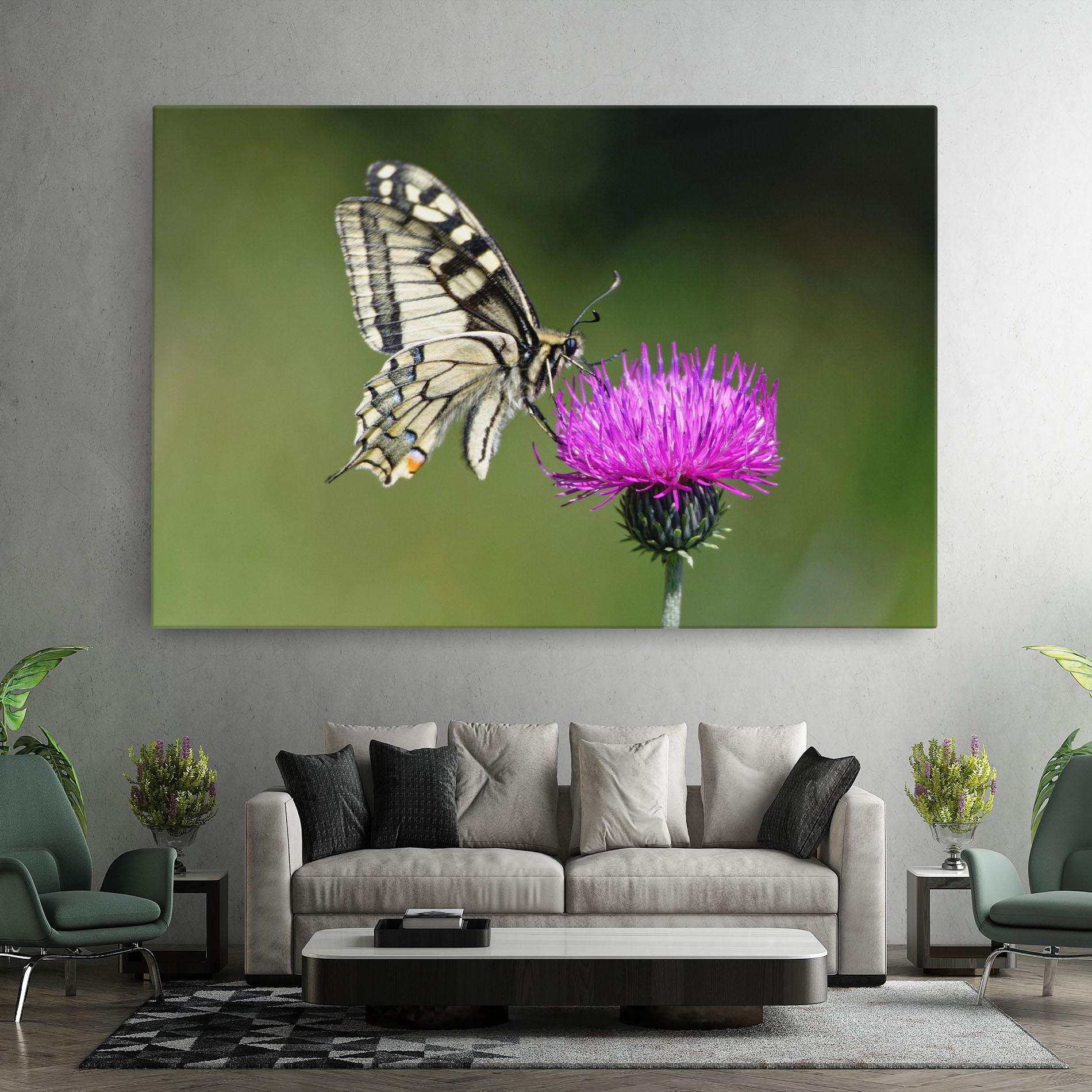 Vászonkép White Butterfly Pollen mockup 7