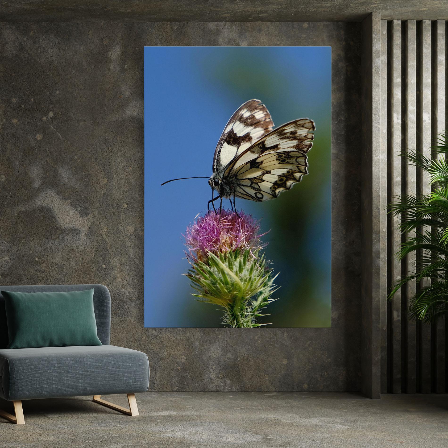 Vászonkép Grey White Butterfly mockup 7