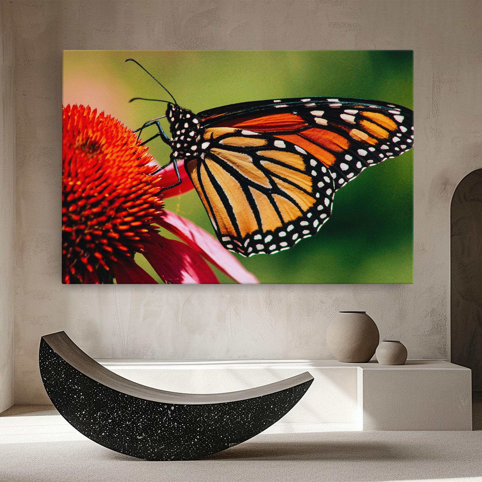 Vászonkép Big Orange Butterfly mockup 8