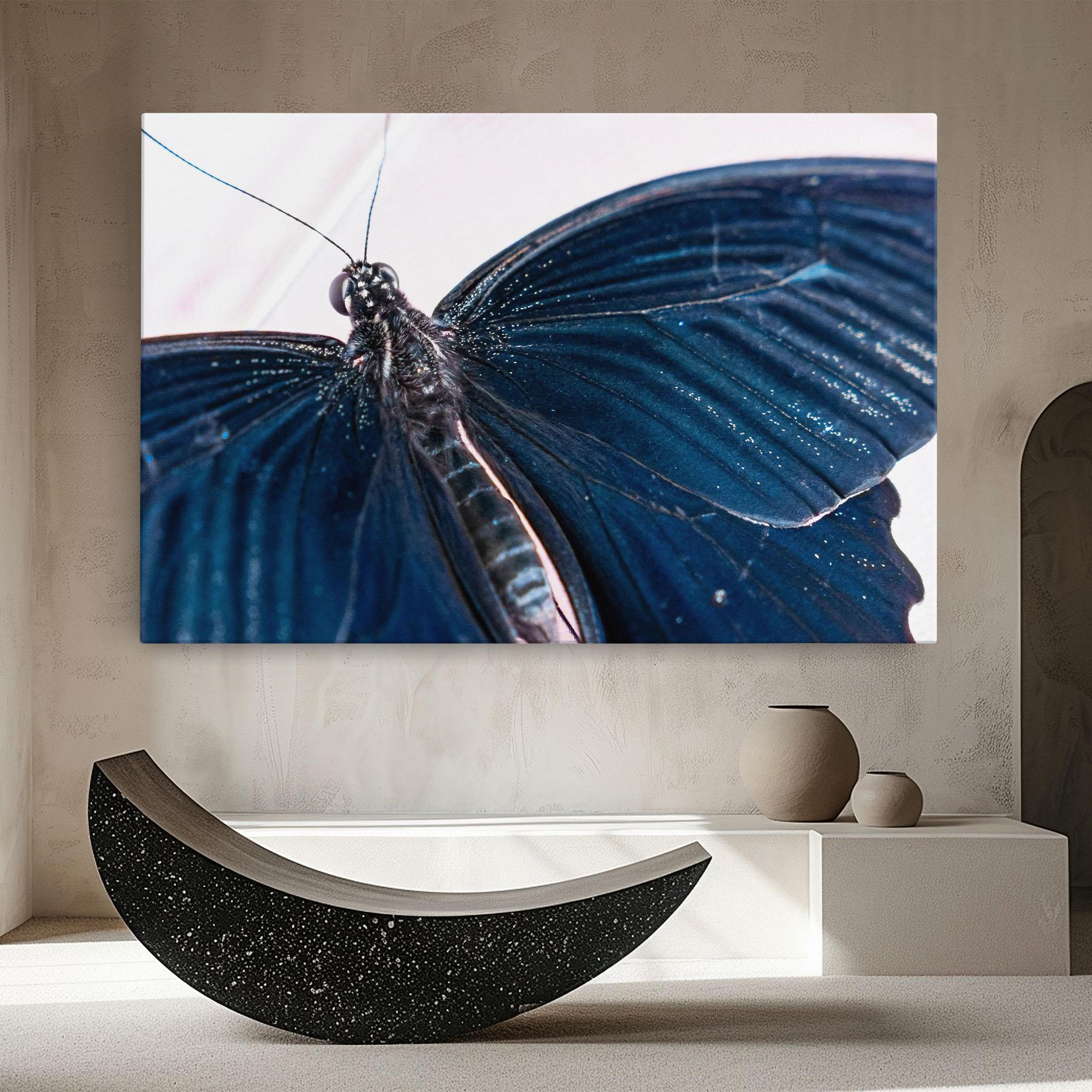 Vászonkép Blue Butterfly mockup 8