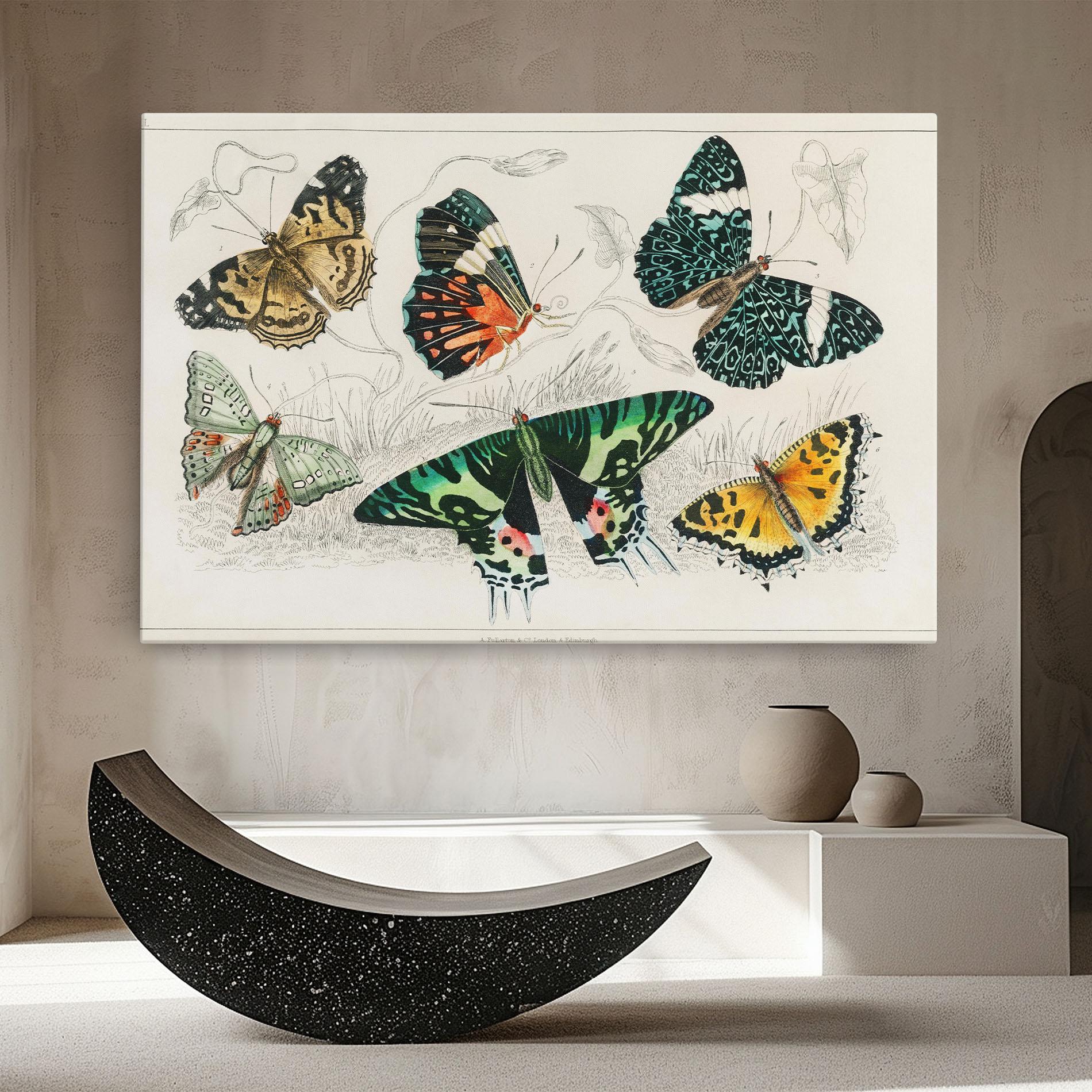 Vászonkép Butterfly Art mockup 8