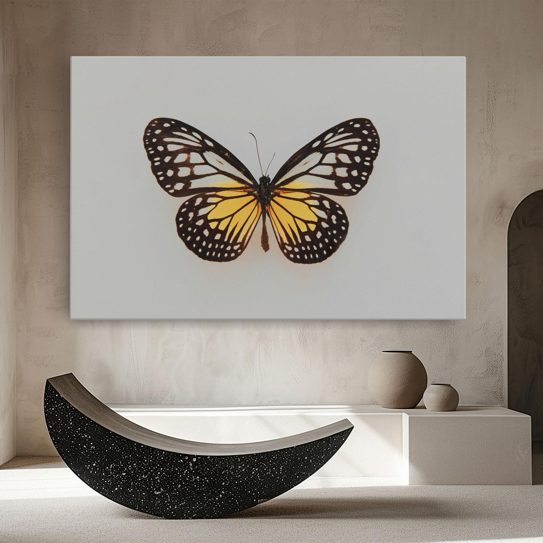 Vászonkép Butterfly On Grey mockup 8