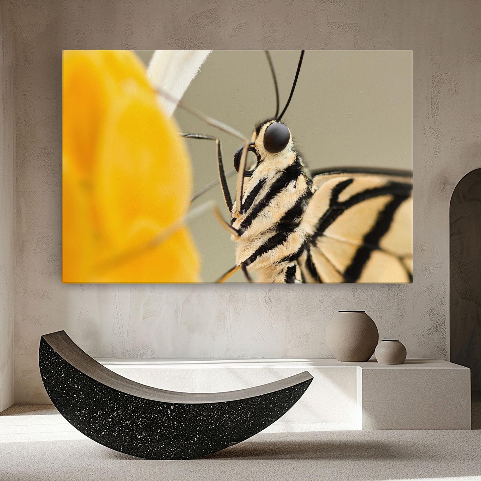 Vászonkép Close Up Cream Butterfly mockup 8