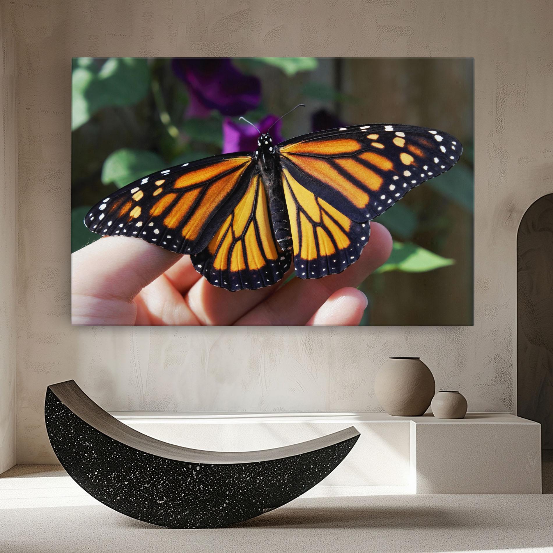 Vászonkép Open Orange Butterfly mockup 8