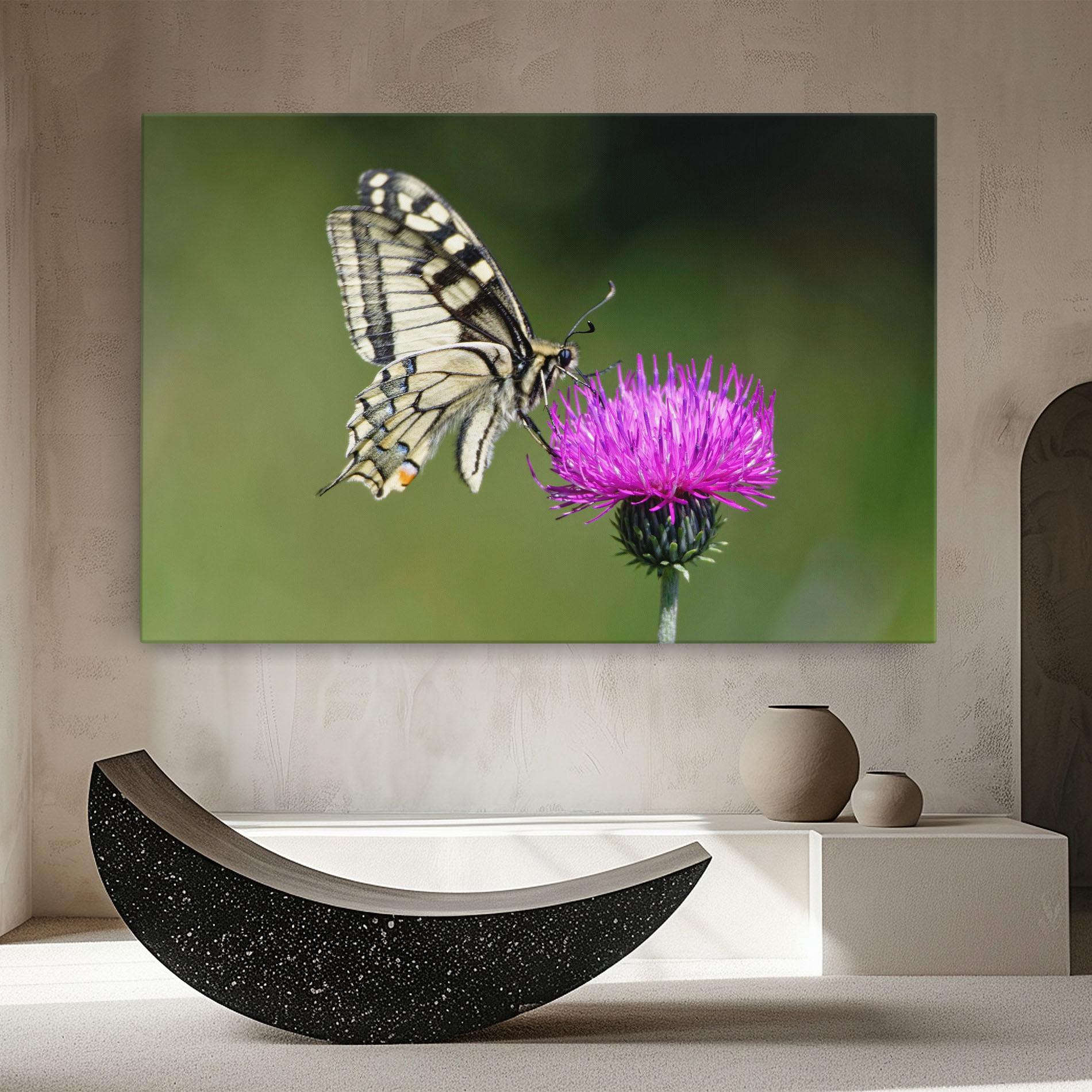 Vászonkép White Butterfly Pollen mockup 8