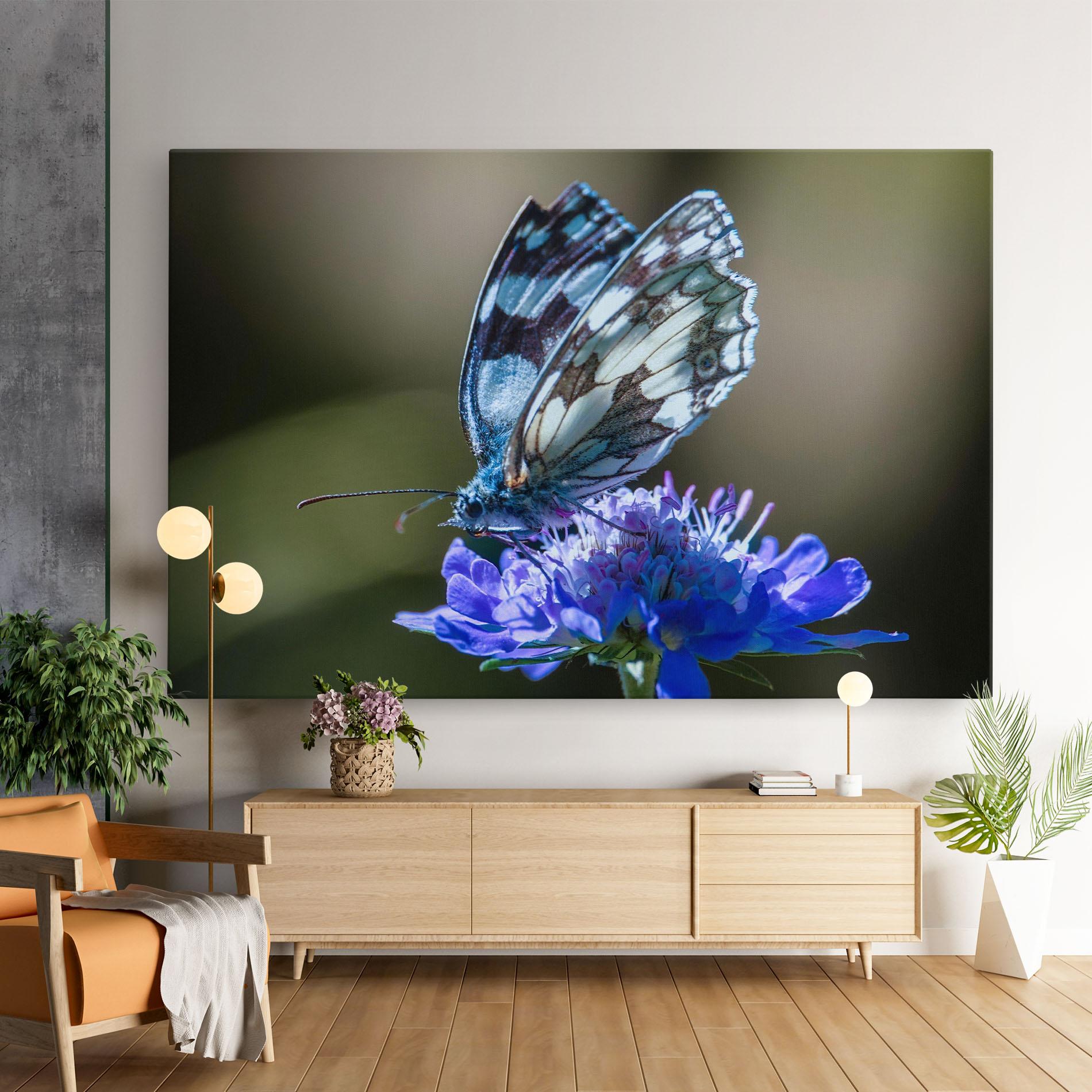 Vászonkép Blue Butterfly In Nature mockup 9