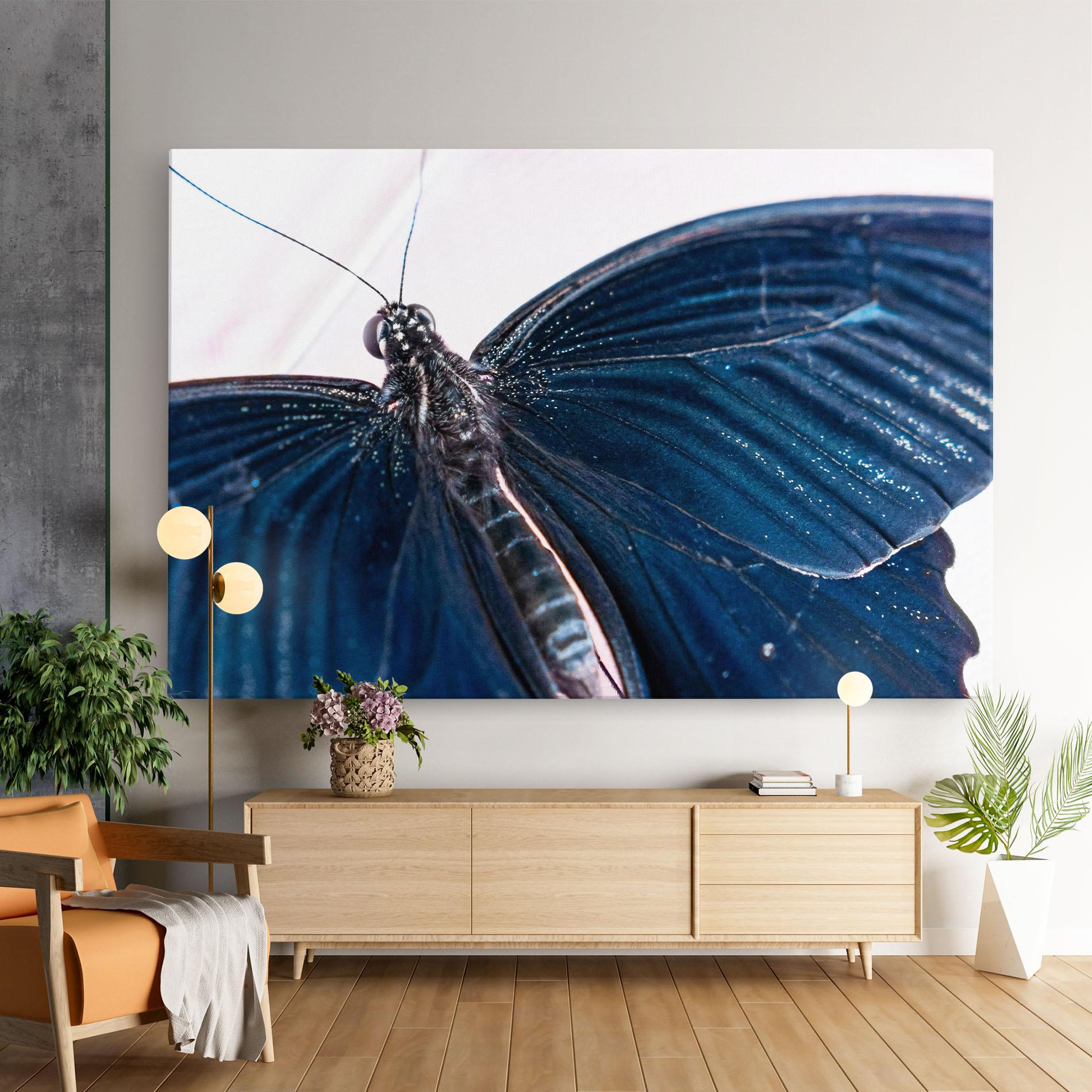 Vászonkép Blue Butterfly mockup 9