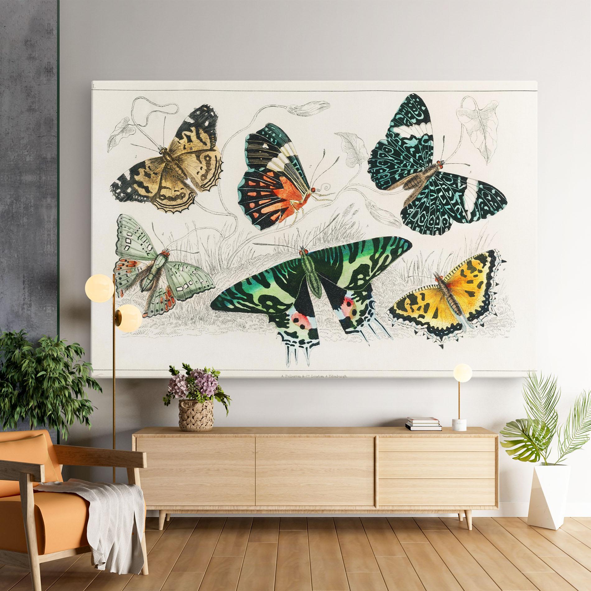 Vászonkép Butterfly Art mockup 9