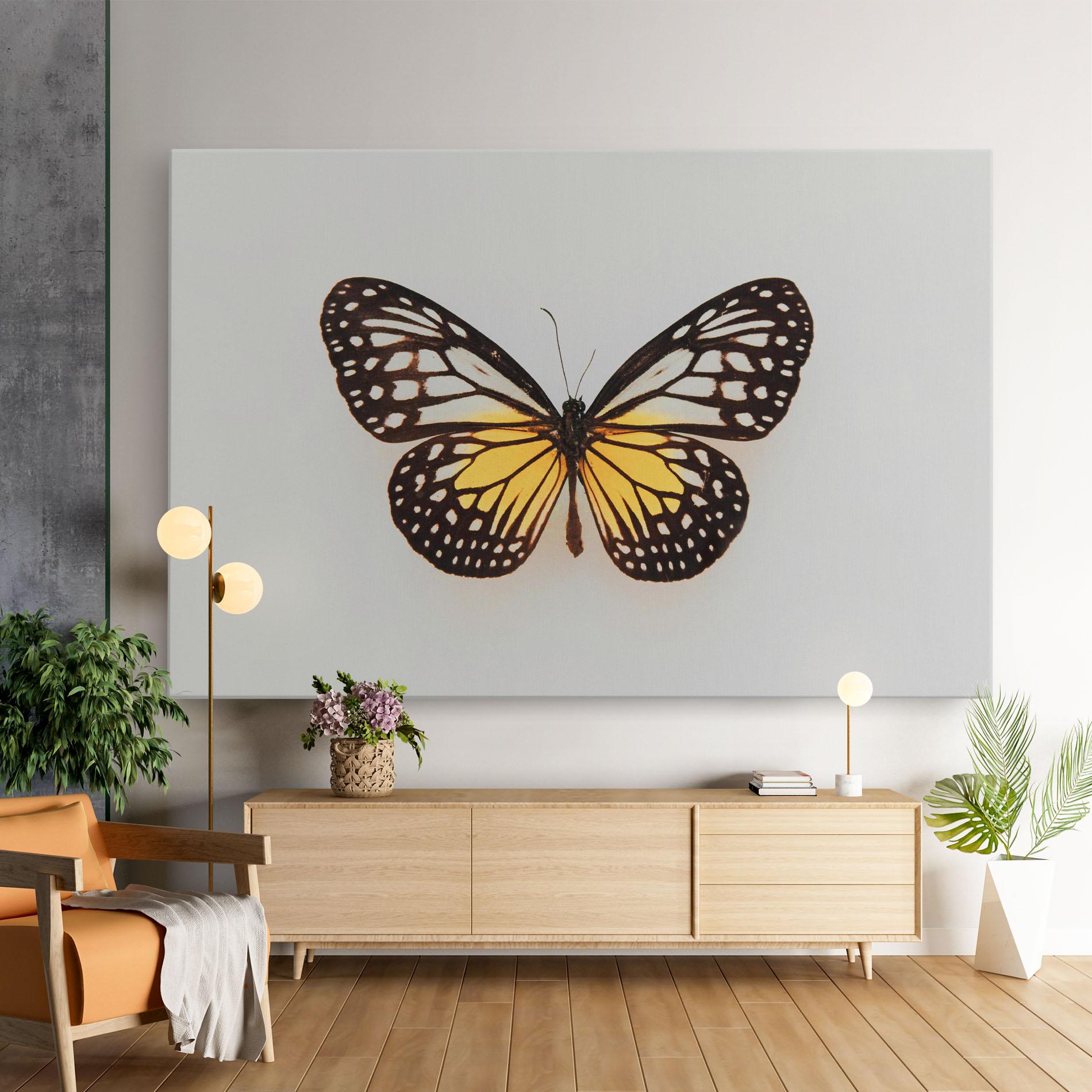 Vászonkép Butterfly On Grey mockup 9