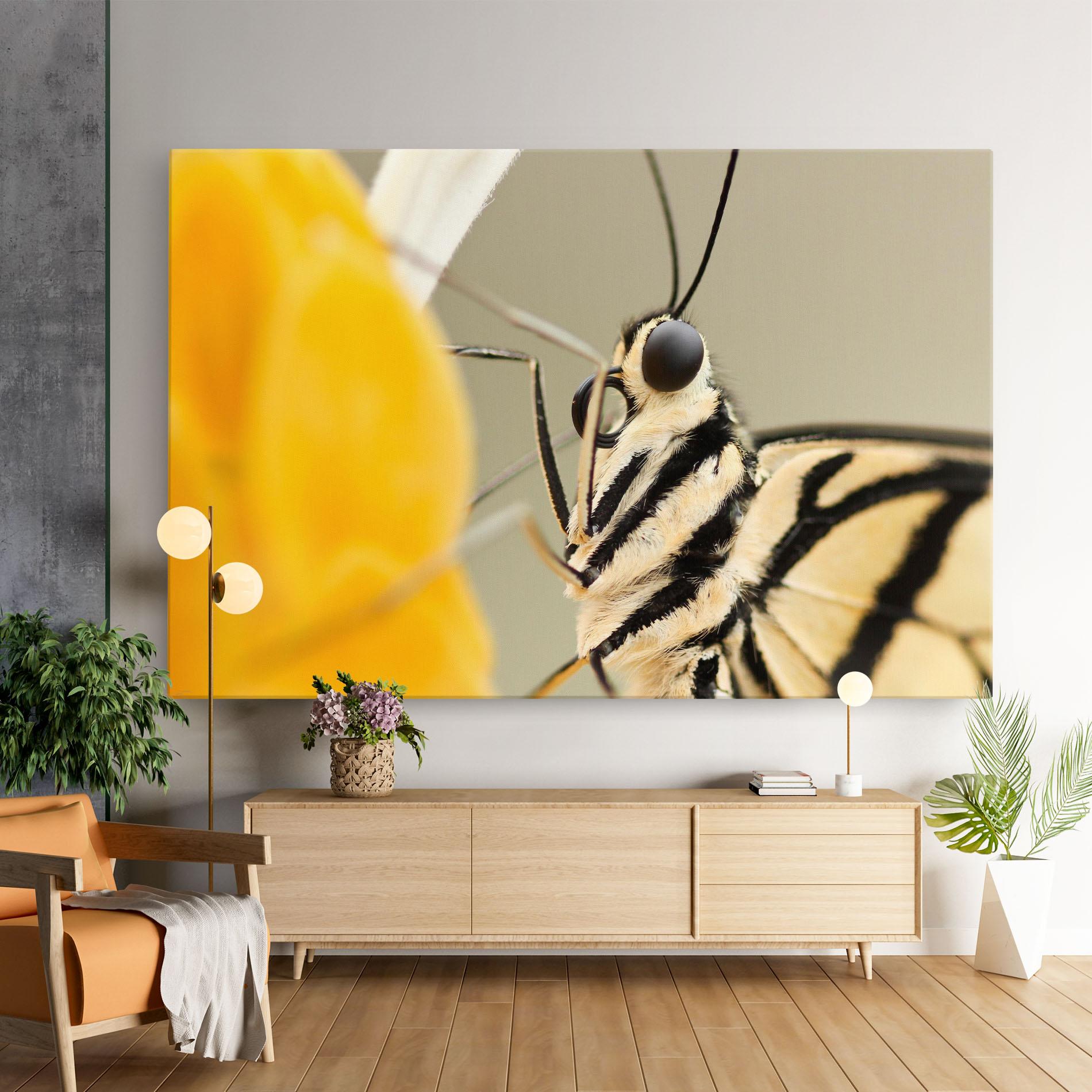 Vászonkép Close Up Cream Butterfly mockup 9