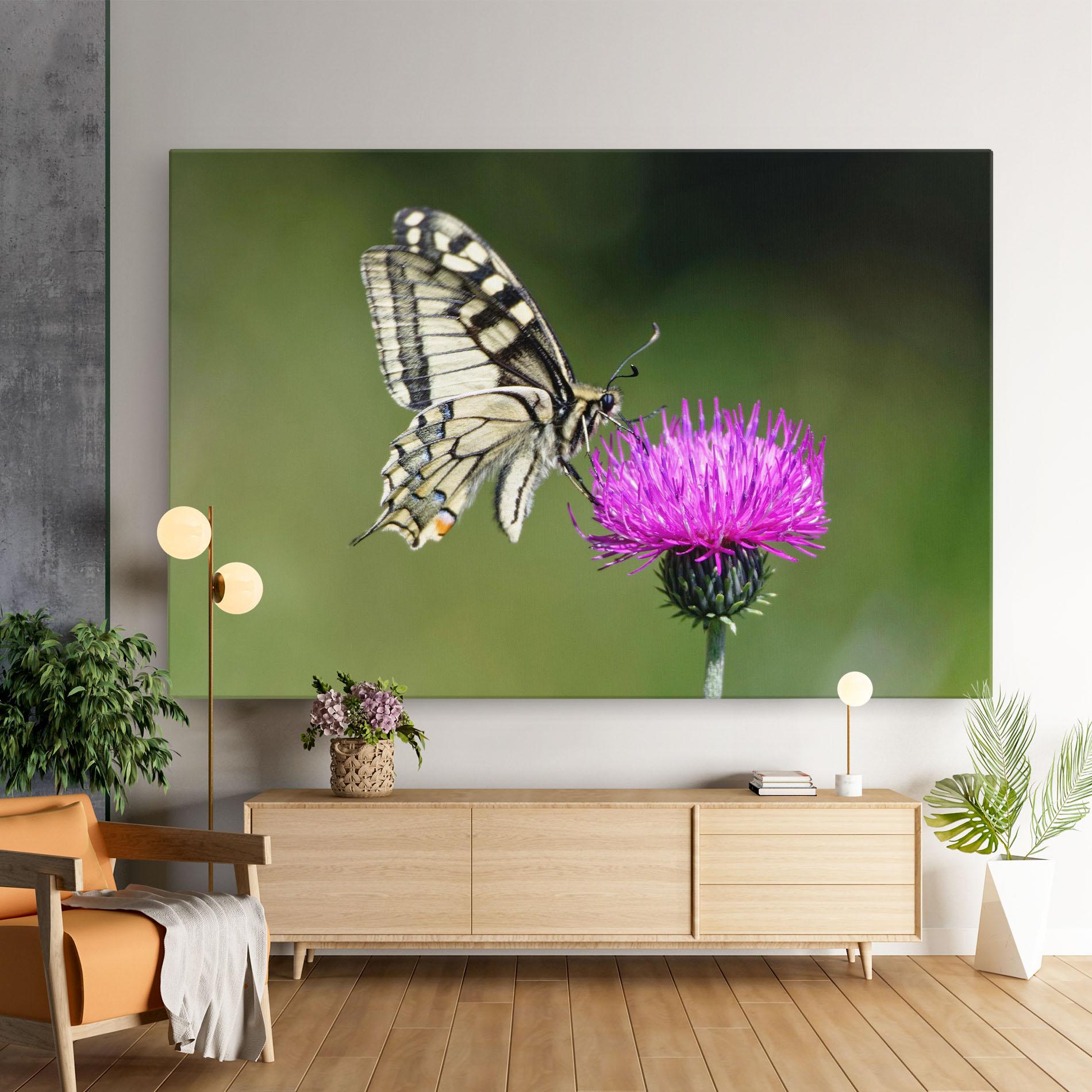 Vászonkép White Butterfly Pollen mockup 9