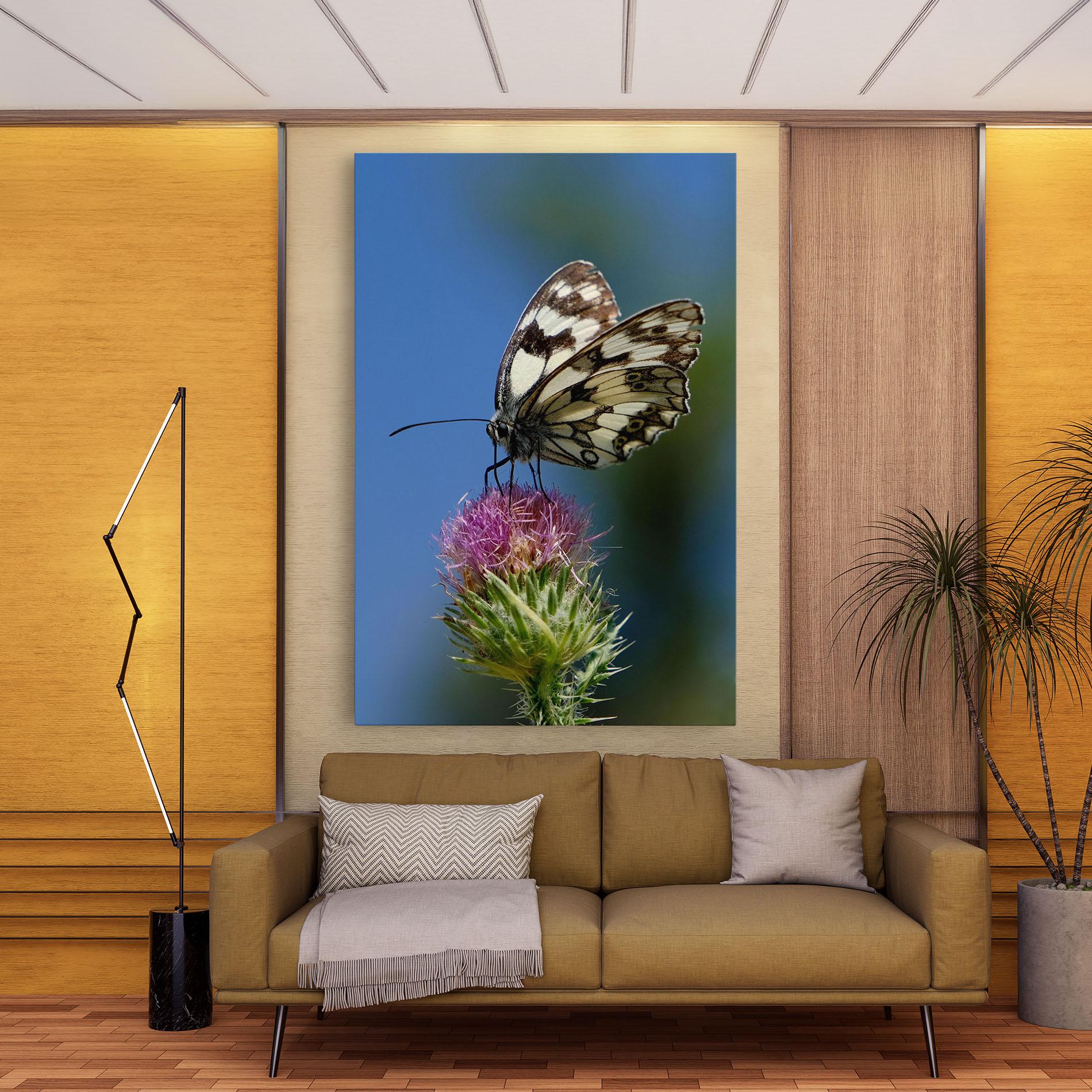 Vászonkép Grey White Butterfly mockup 9