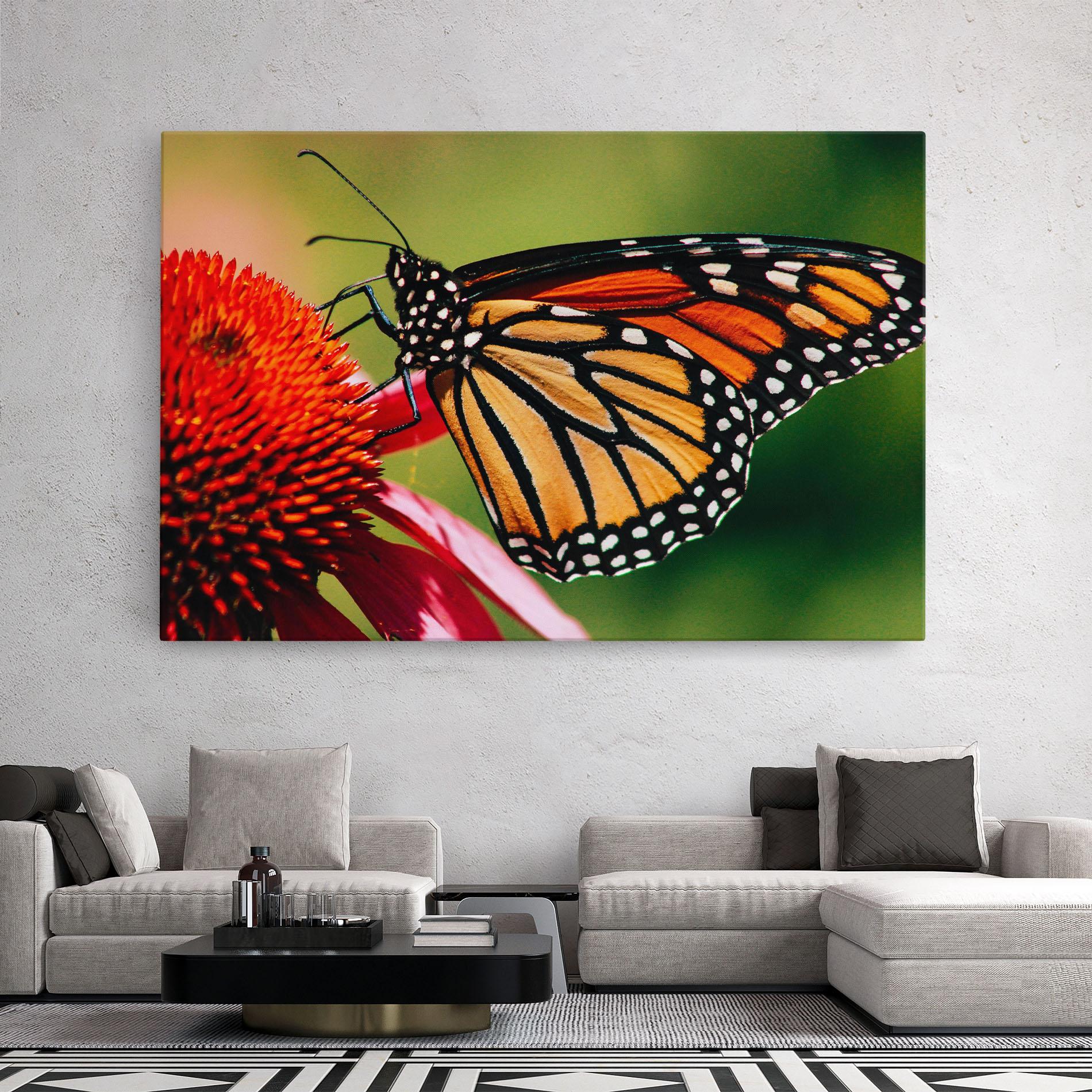 Vászonkép Big Orange Butterfly mockup 2