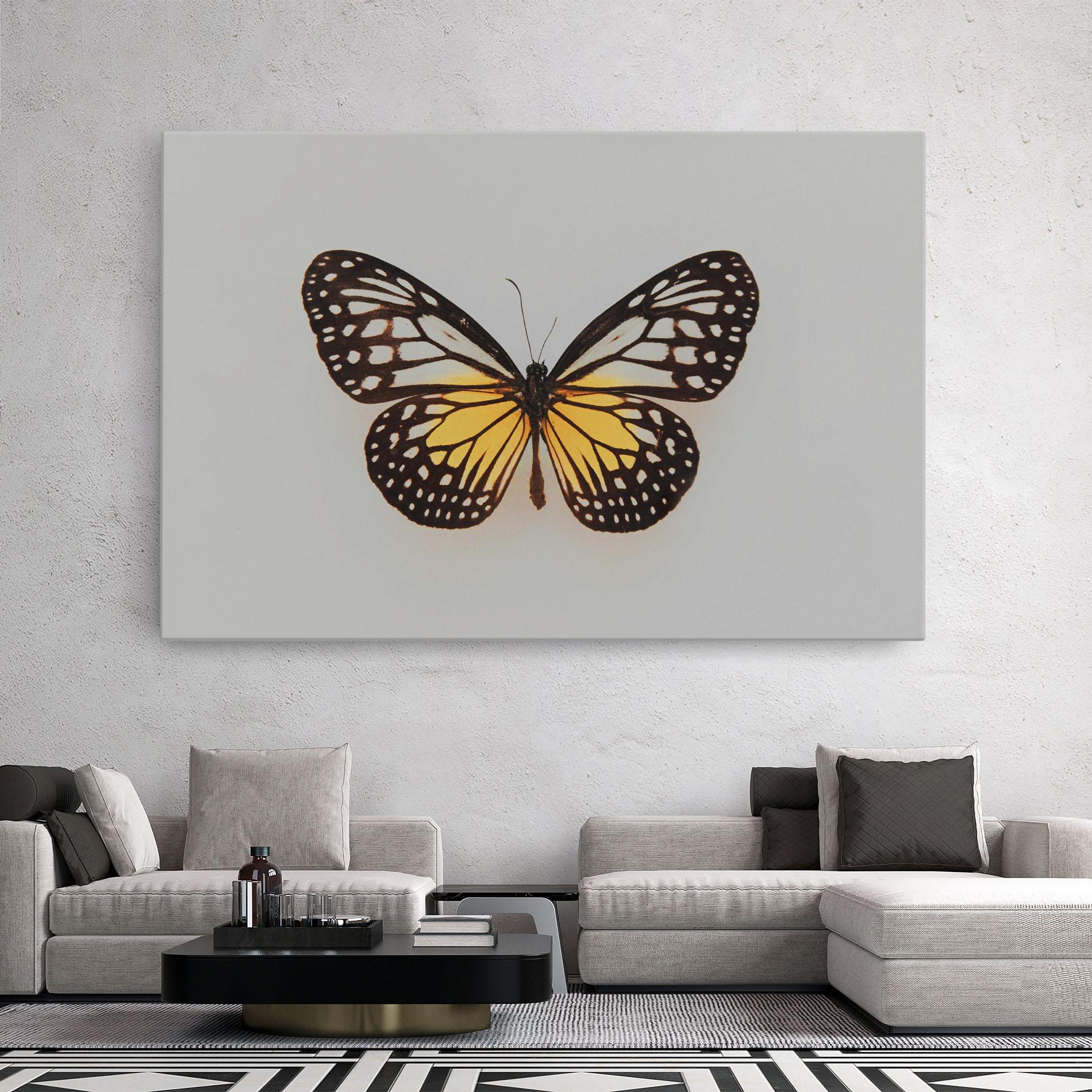 Vászonkép Butterfly On Grey mockup 2