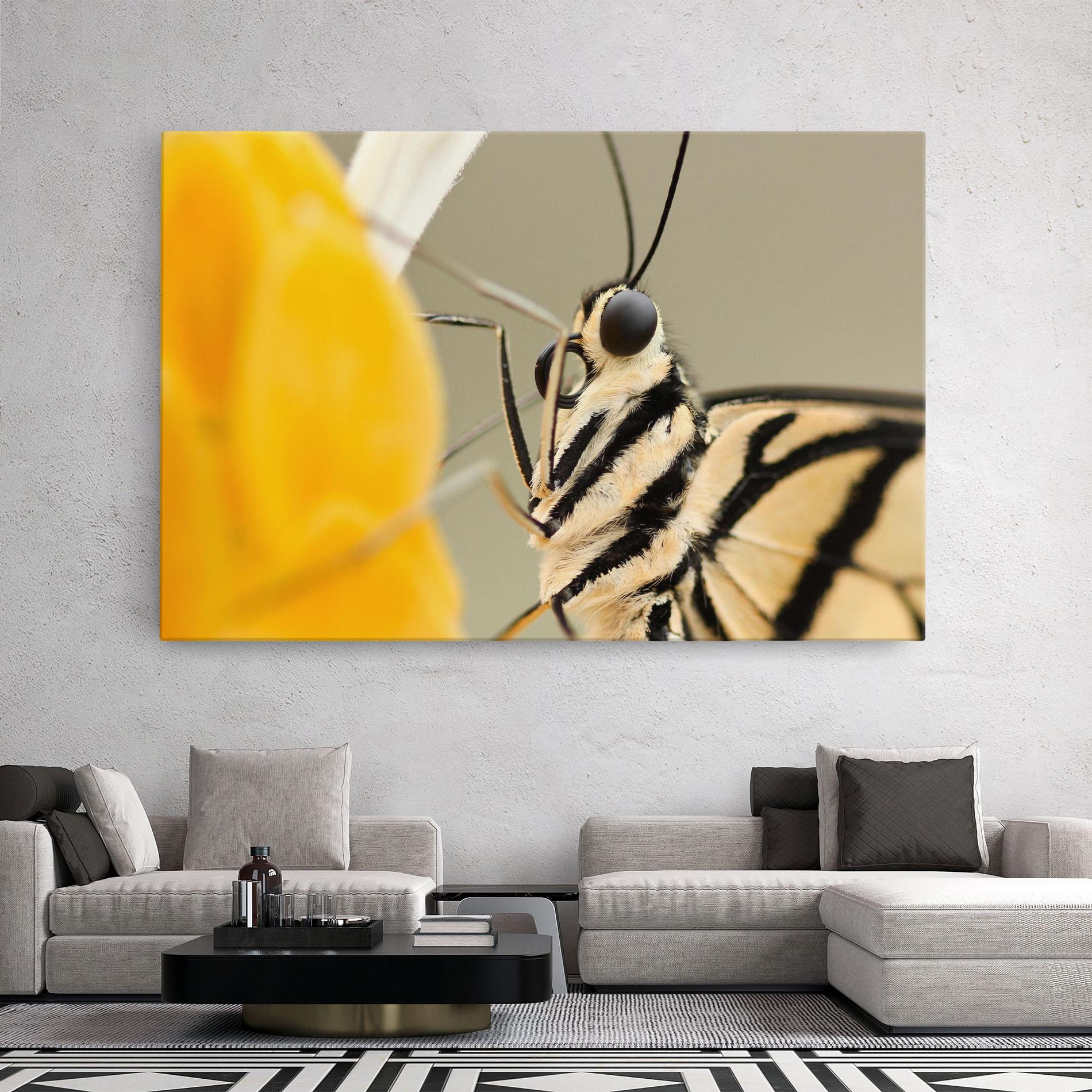 Vászonkép Close Up Cream Butterfly mockup 2