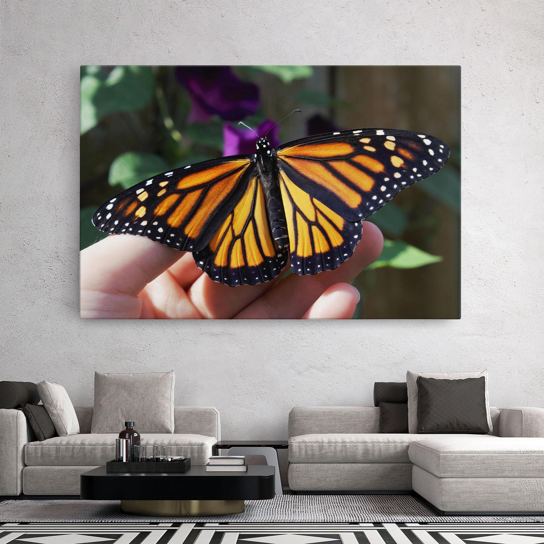 Vászonkép Open Orange Butterfly mockup 2