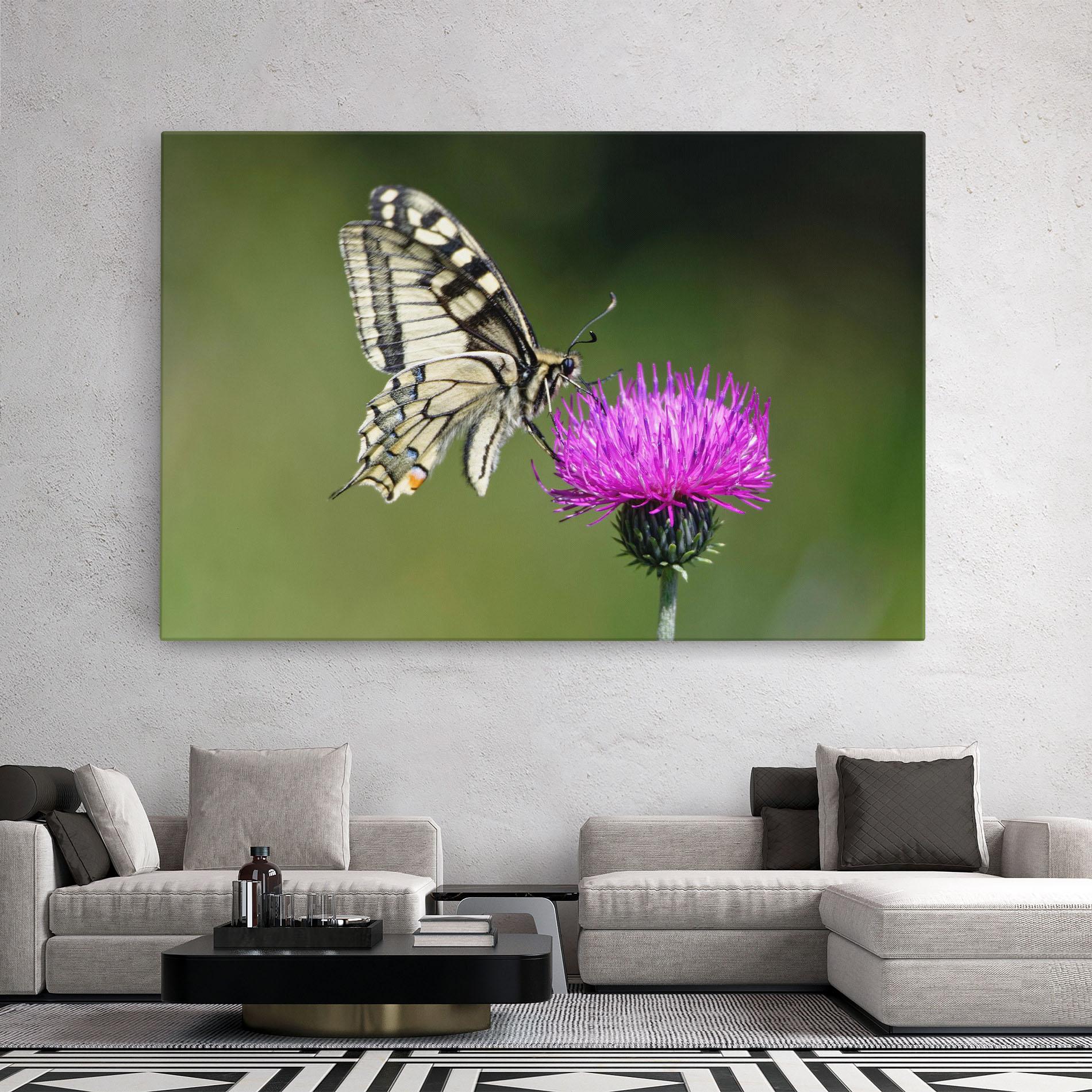 Vászonkép White Butterfly Pollen mockup 2