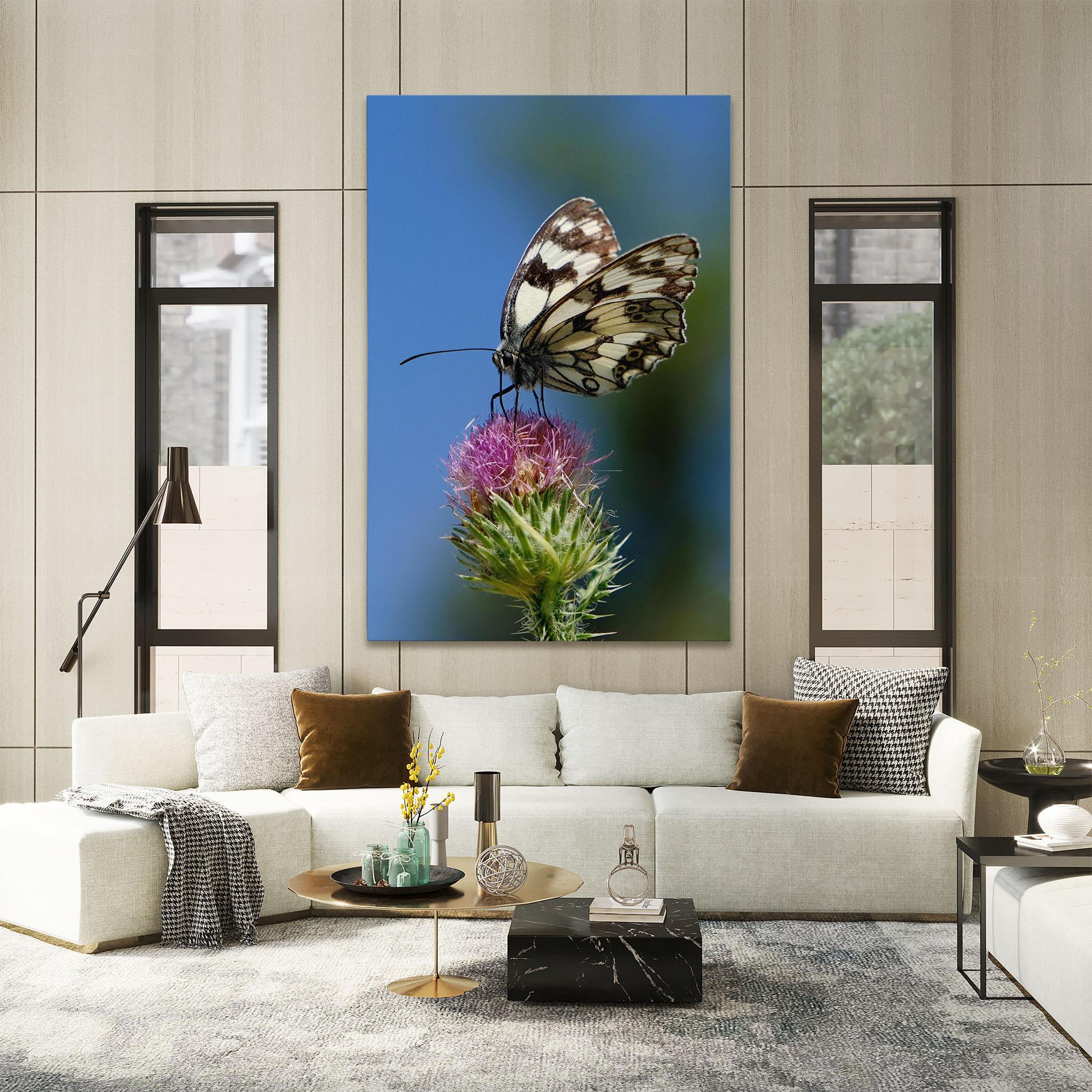 Vászonkép Grey White Butterfly mockup 2