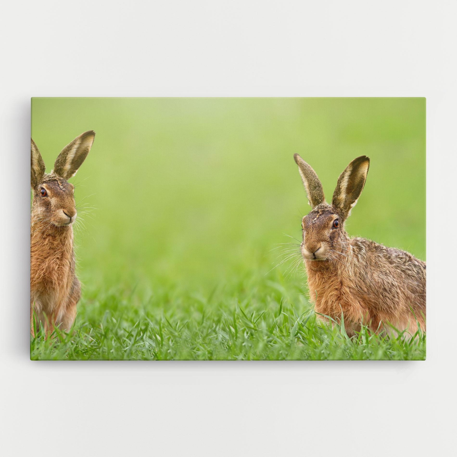 Vászonkép Brown Hares mockup 0