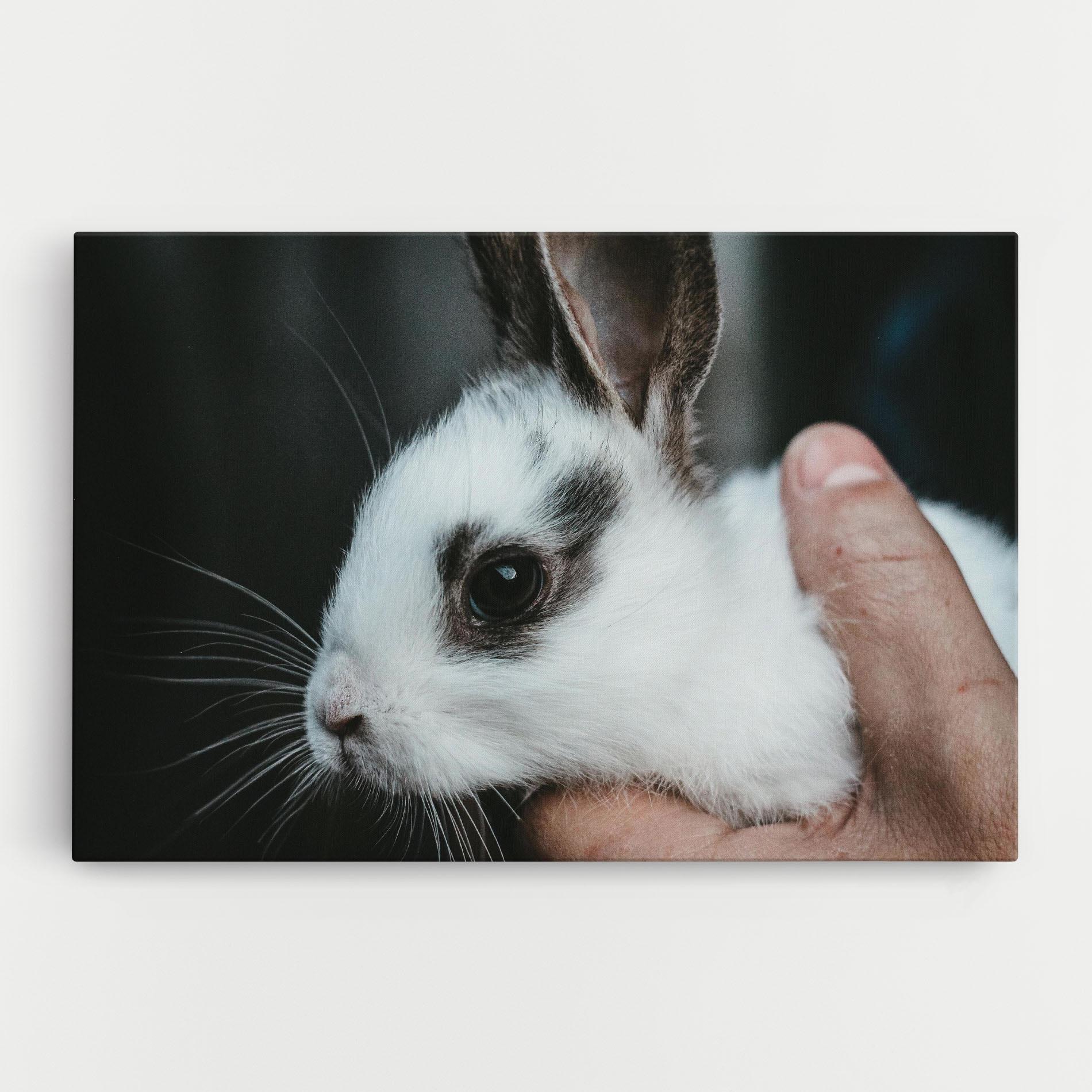 Vászonkép Holding Cute Bunny mockup 0