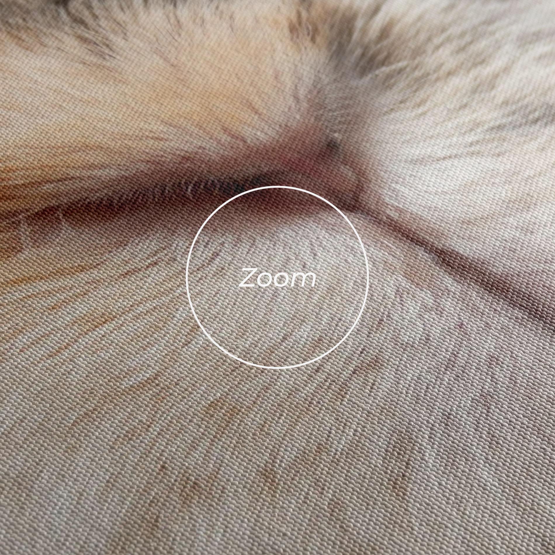 Vászonkép Close Up Bunny mockup 3