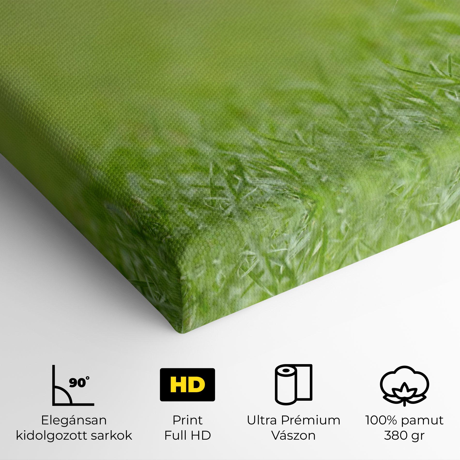 Vászonkép Brown Hares mockup 4