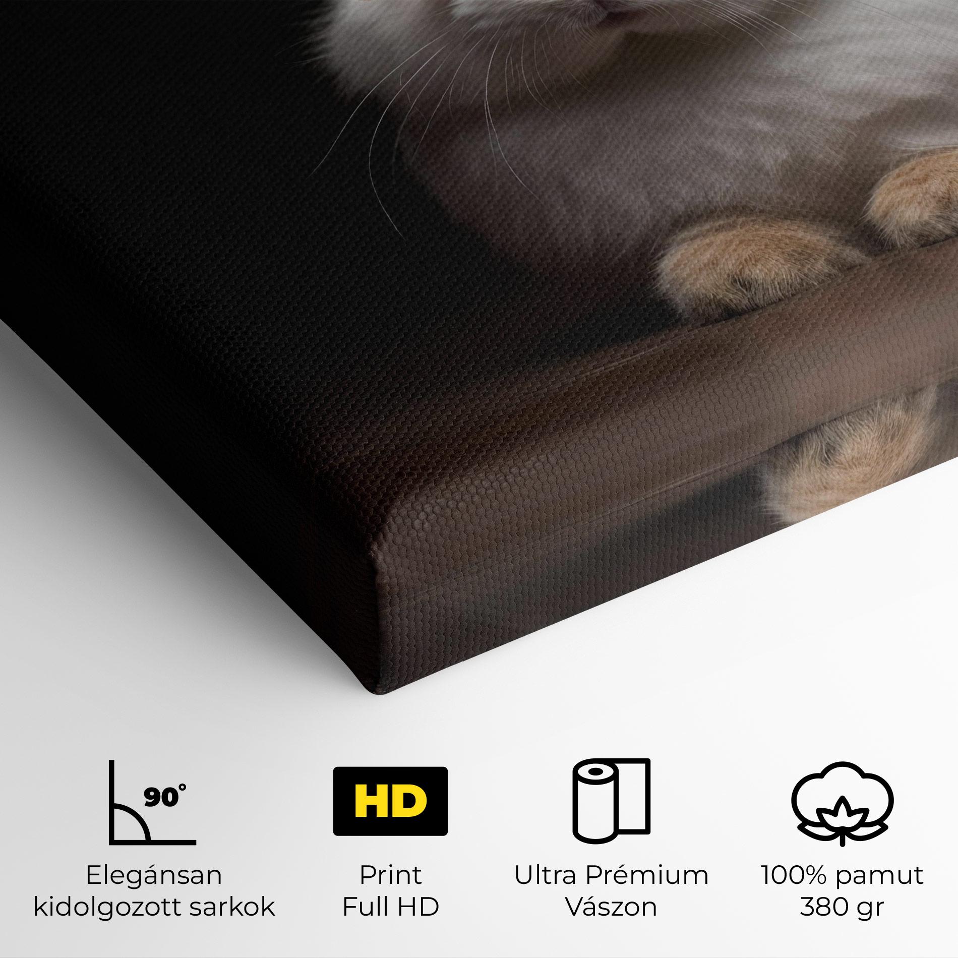 Vászonkép Eyeglasses Bunny mockup 4