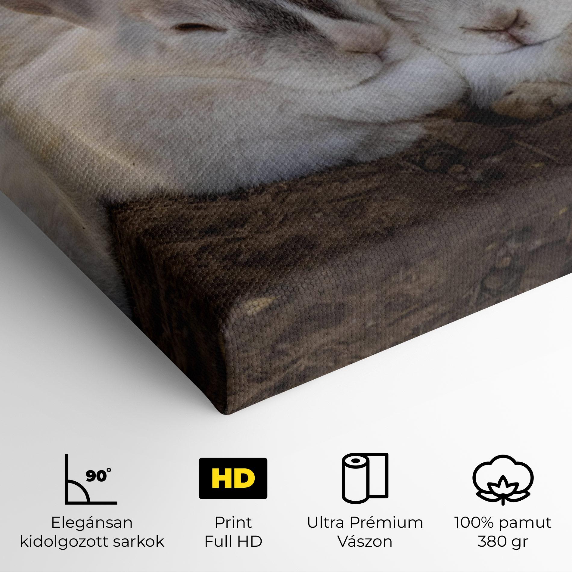 Vászonkép Light Grey Bunny Sleeping mockup 4
