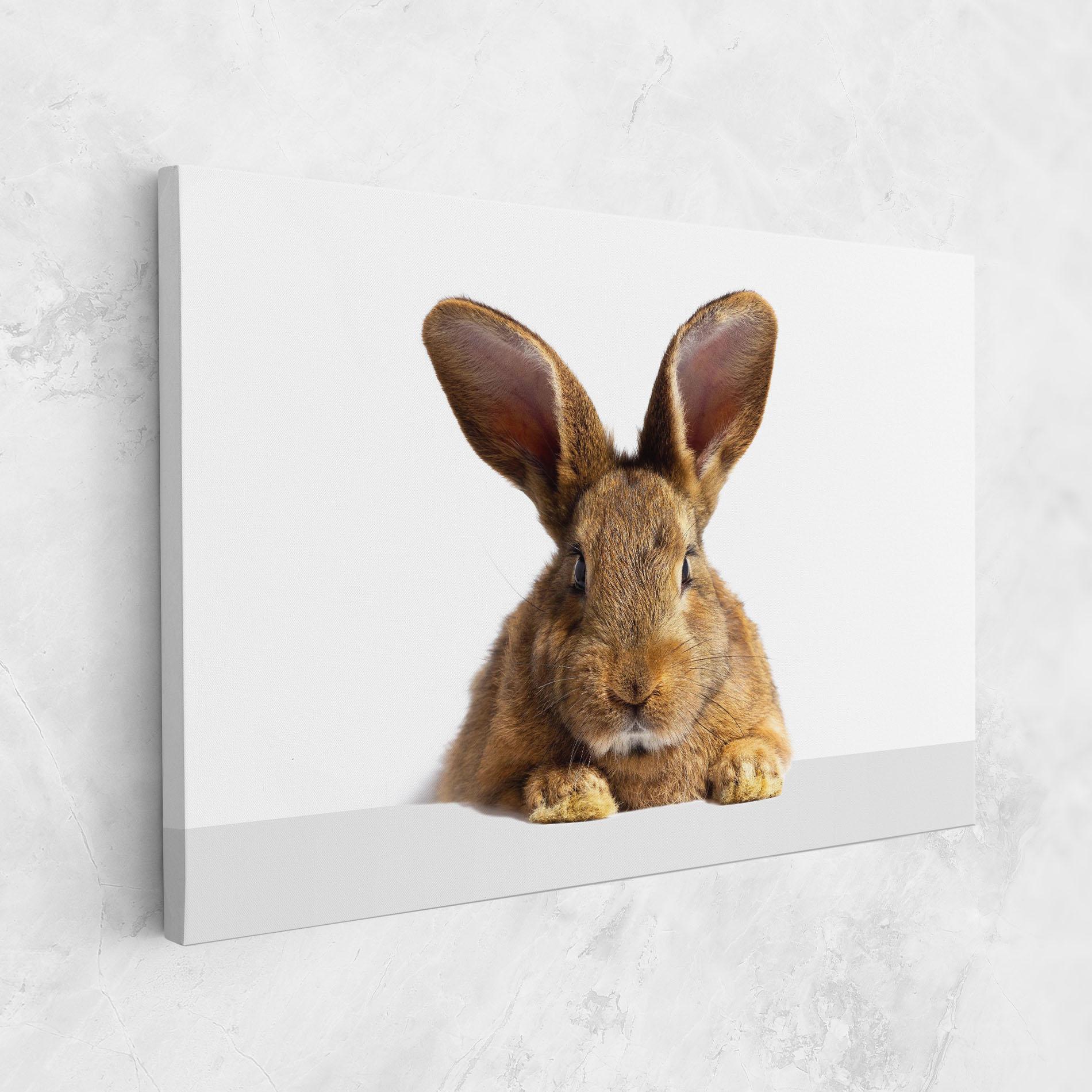 Vászonkép Brown Cute Bunny mockup 1