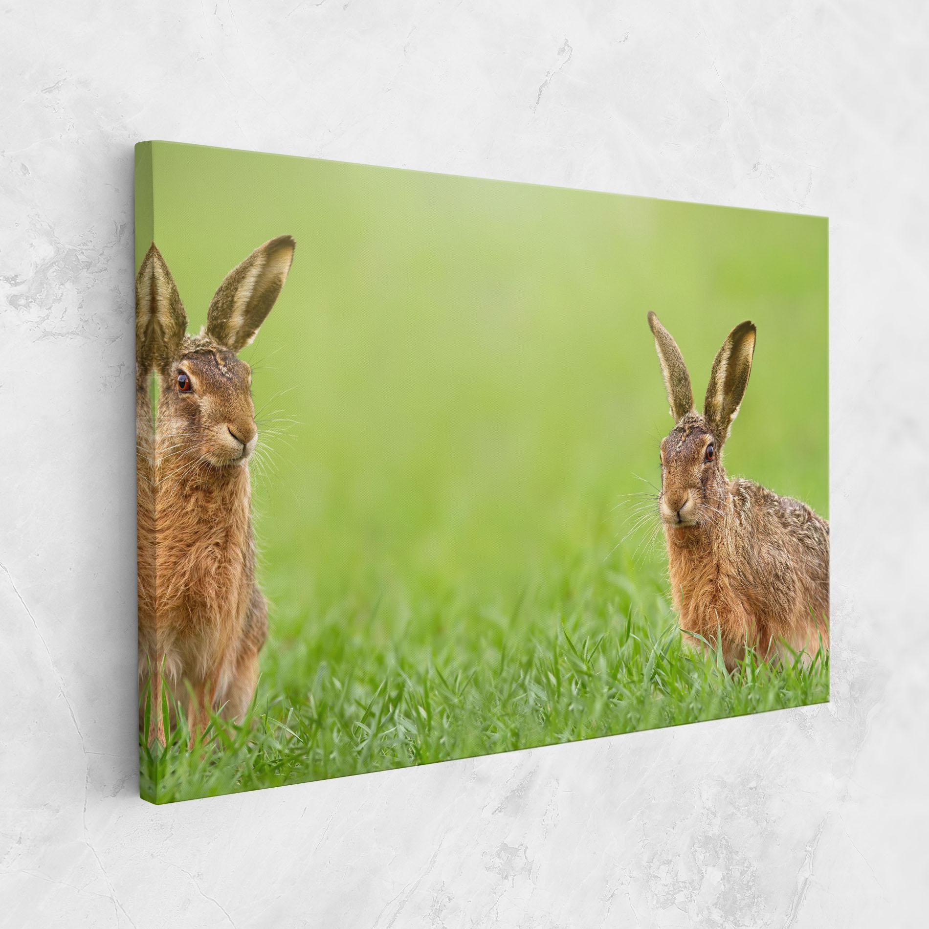 Vászonkép Brown Hares mockup 1