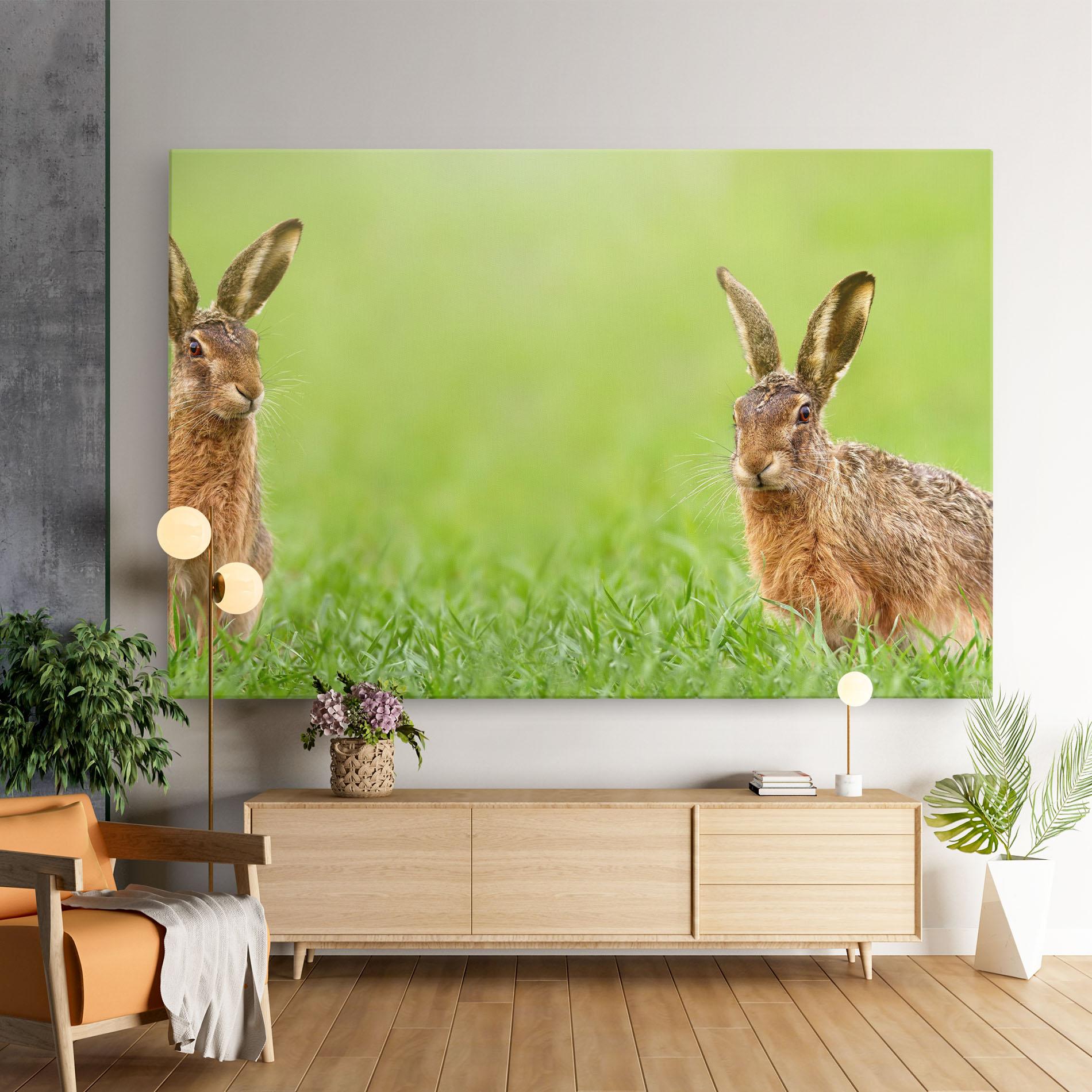 Vászonkép Brown Hares mockup 9
