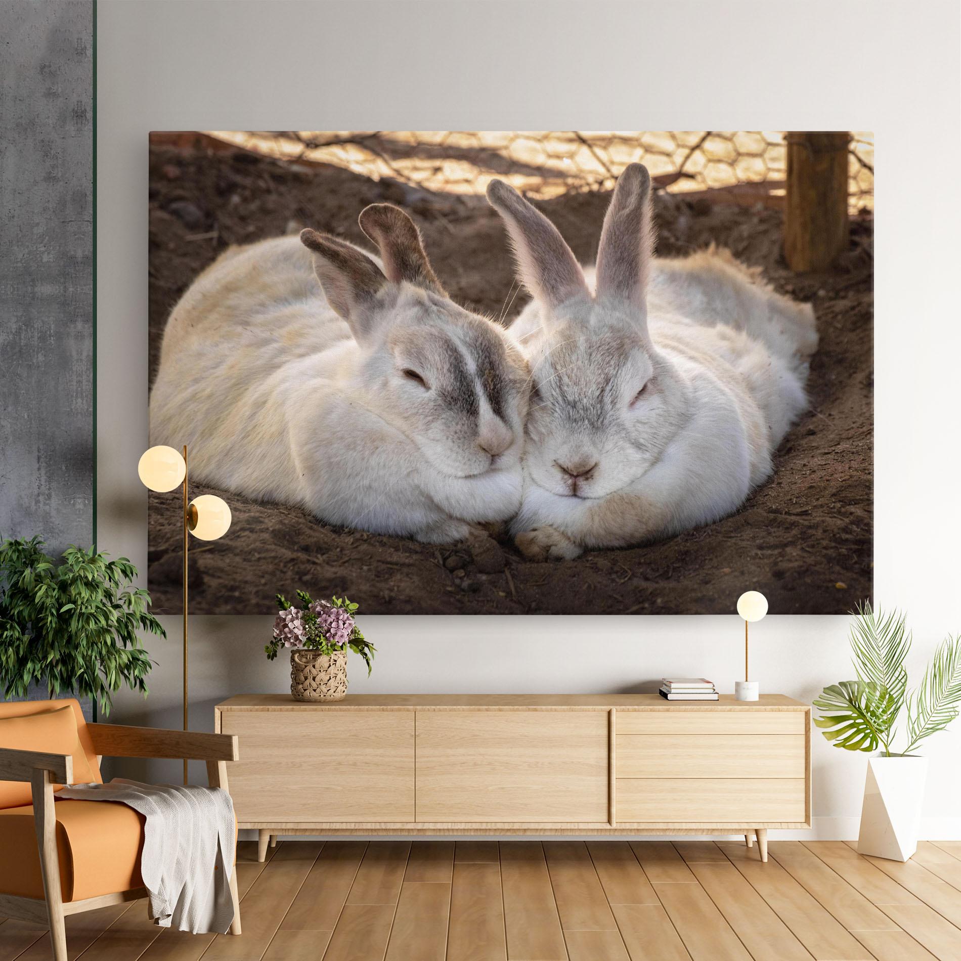 Vászonkép Light Grey Bunny Sleeping mockup 9
