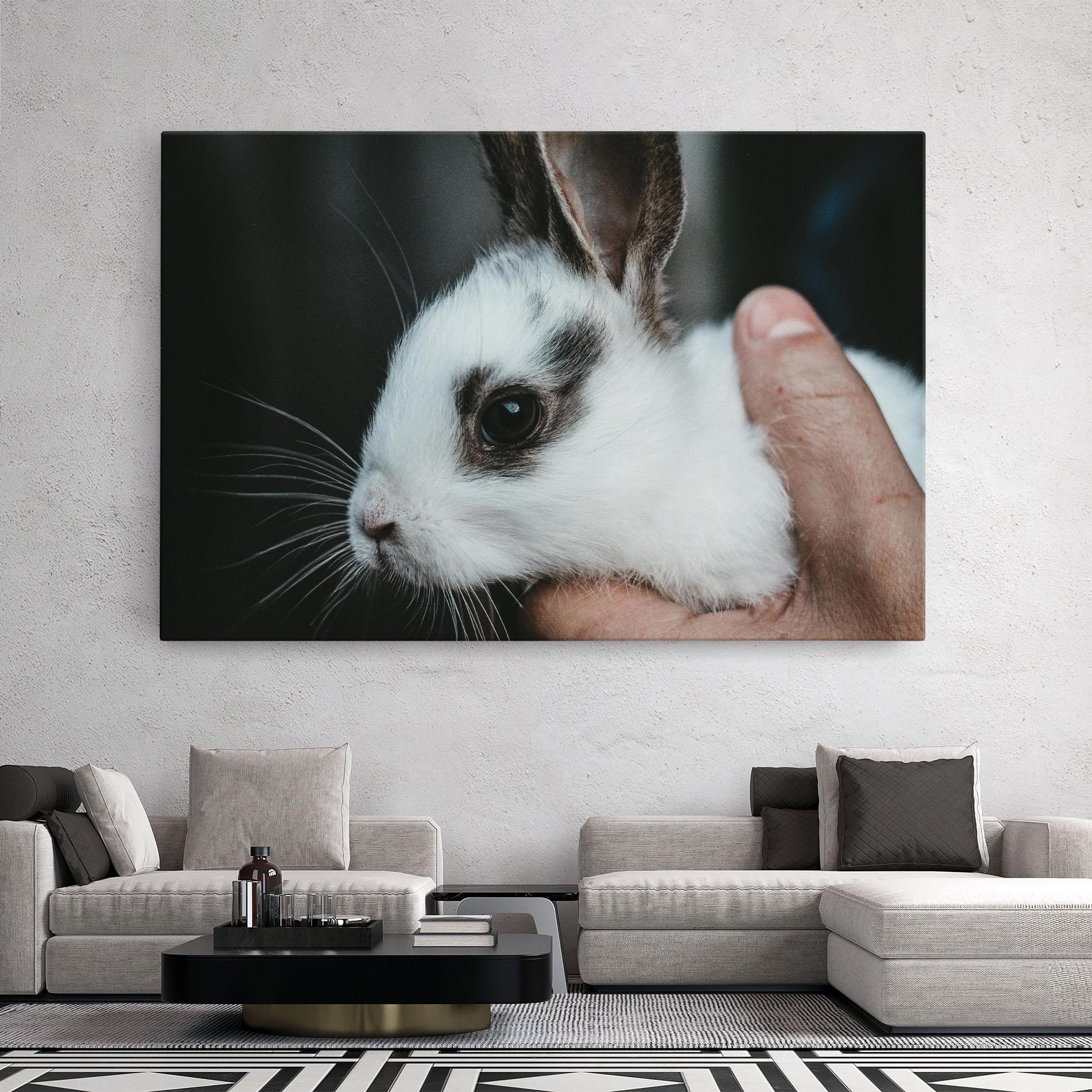 Vászonkép Holding Cute Bunny mockup 2