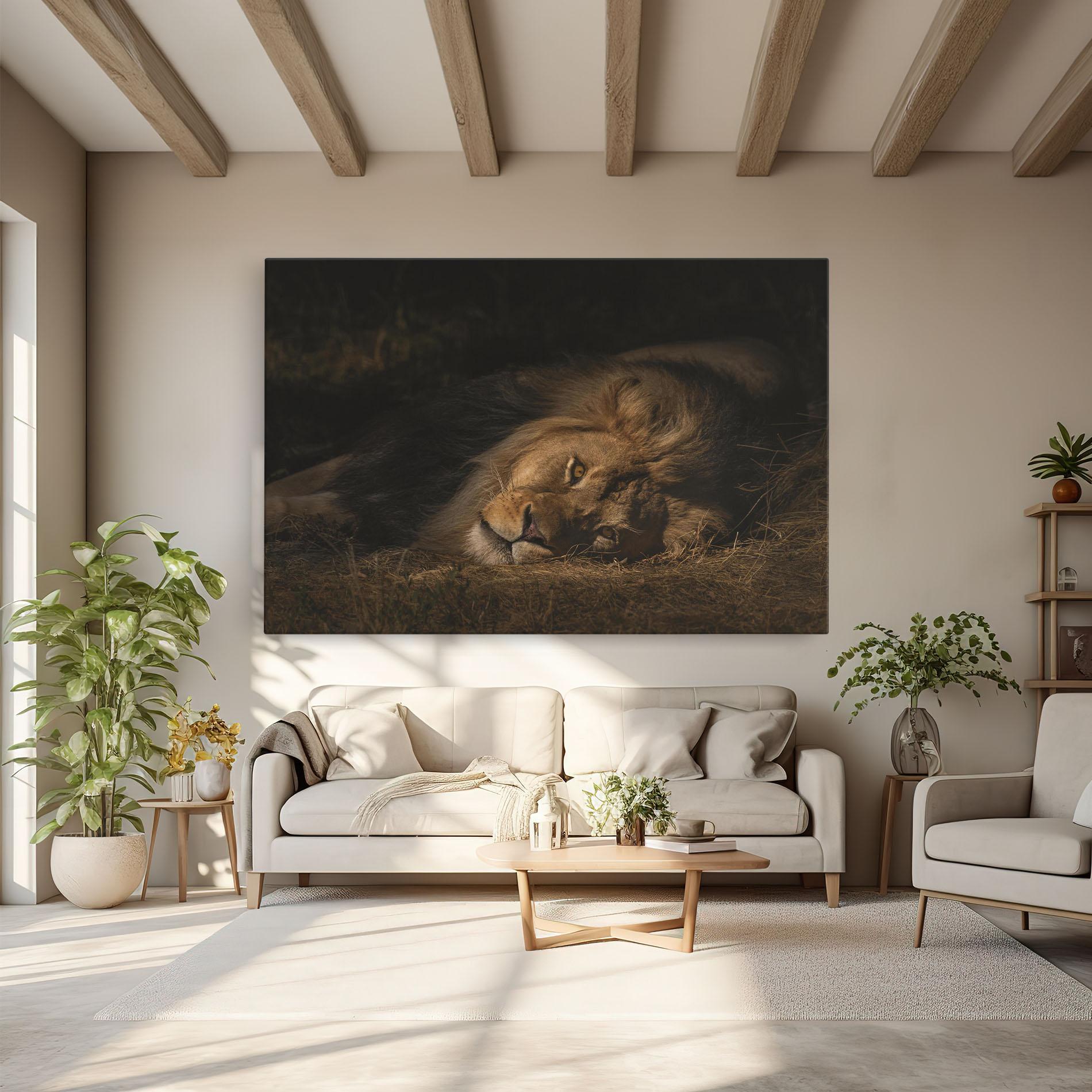 Vászonkép Lion Laying Down mockup 6