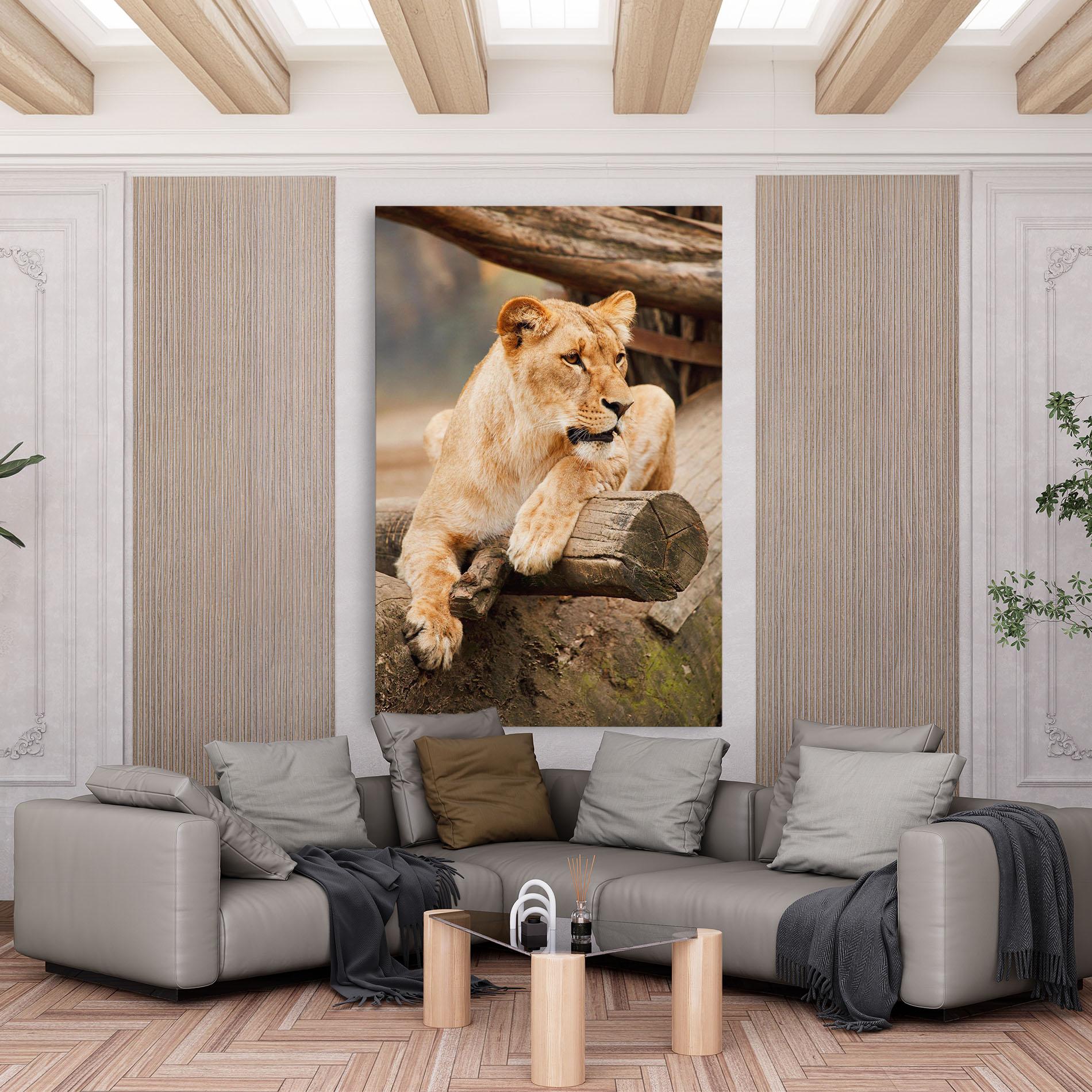 Vászonkép Female Lion Sitting mockup 6