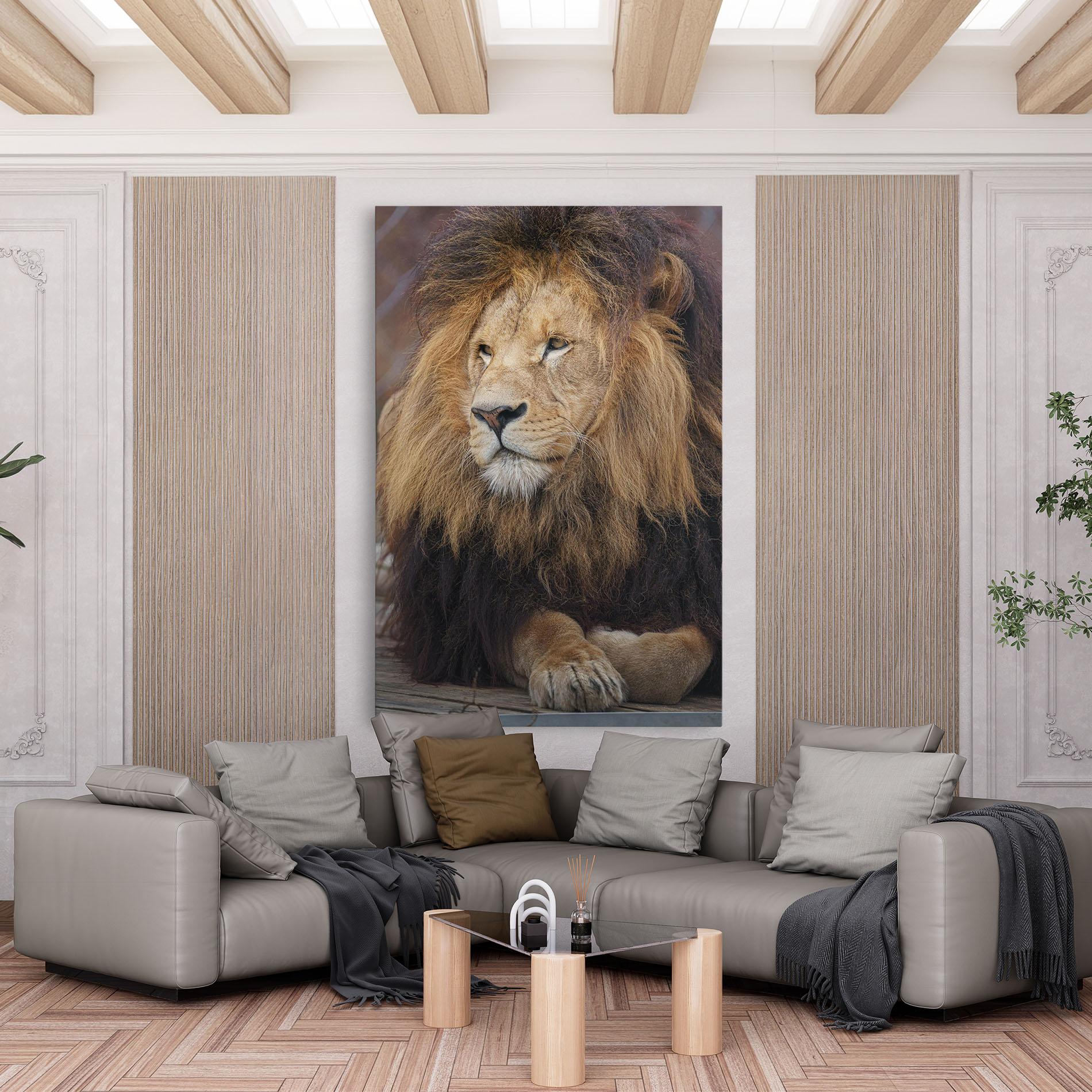 Vászonkép Lion Chilling mockup 6