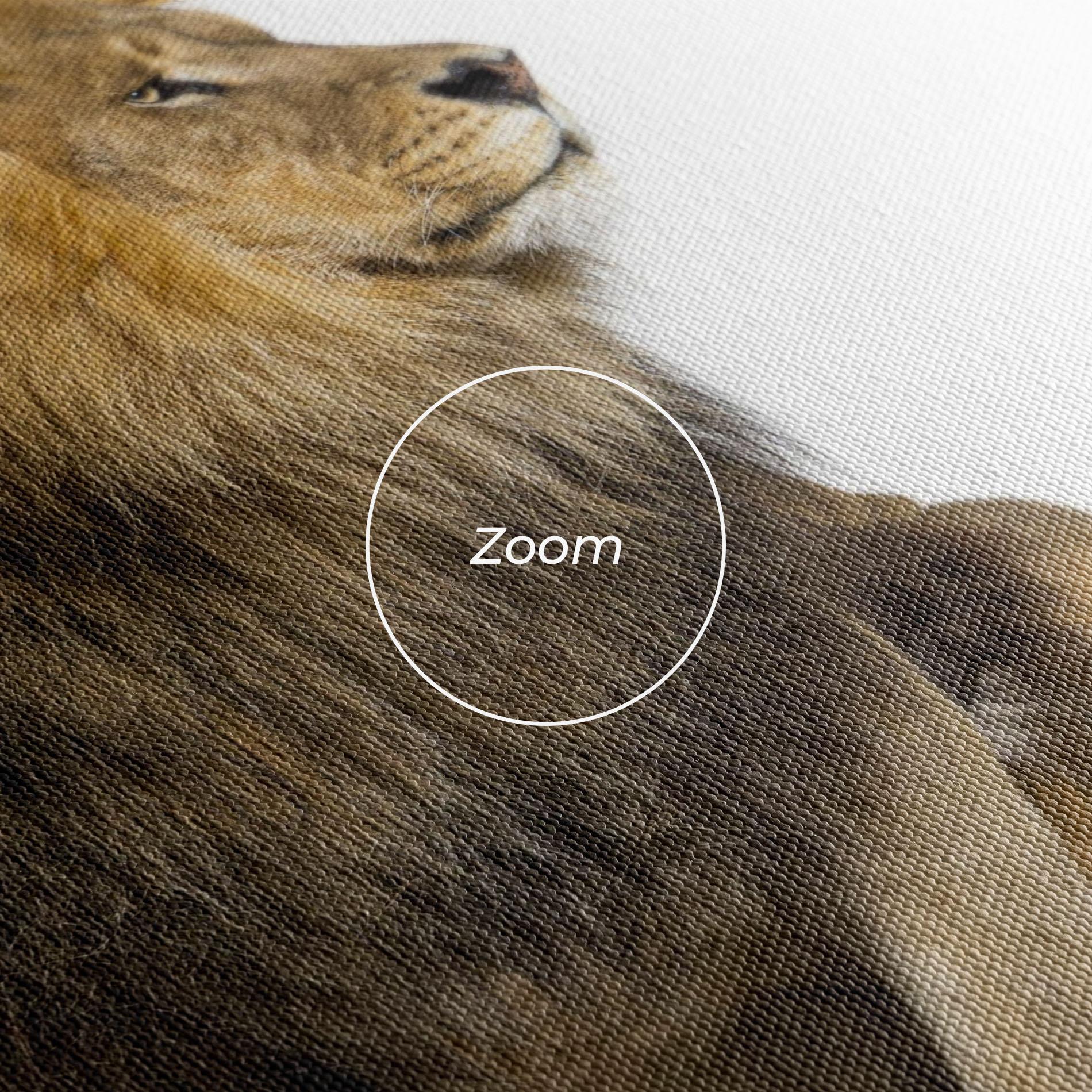 Vászonkép Big Lion mockup 3