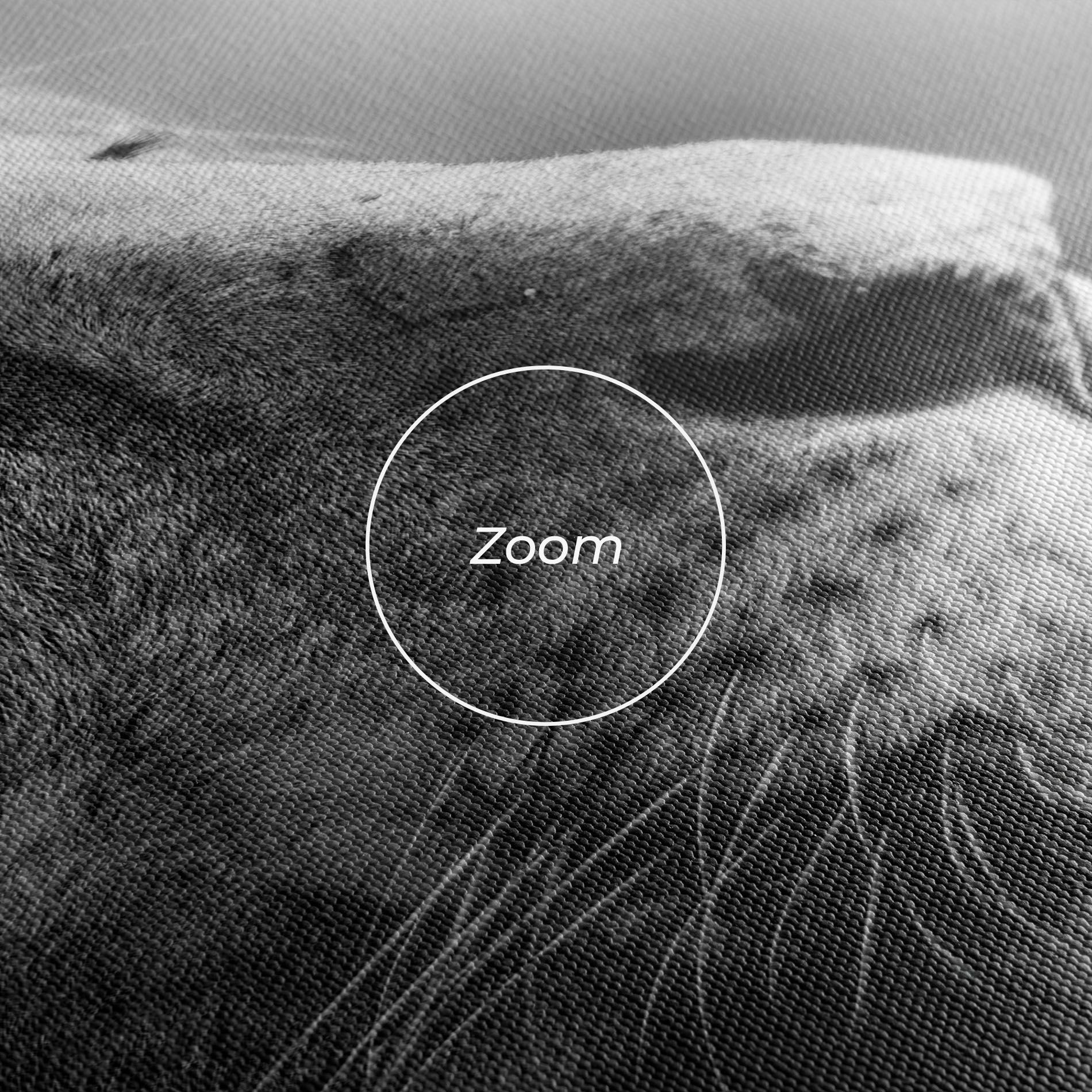 Grey Lion Head mockup 3